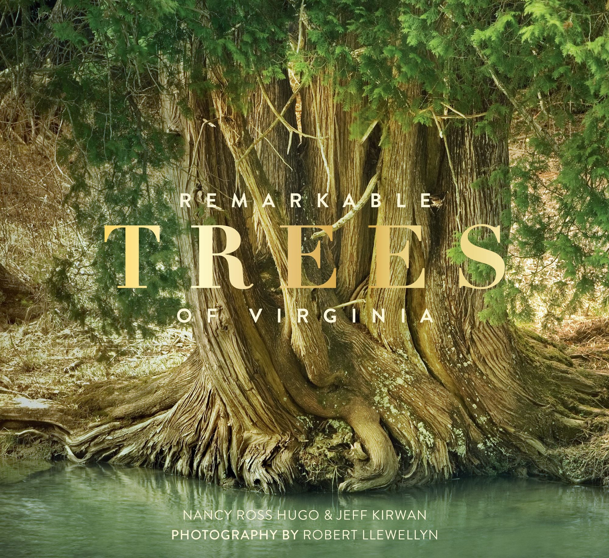 Remarkable Trees of Virginia