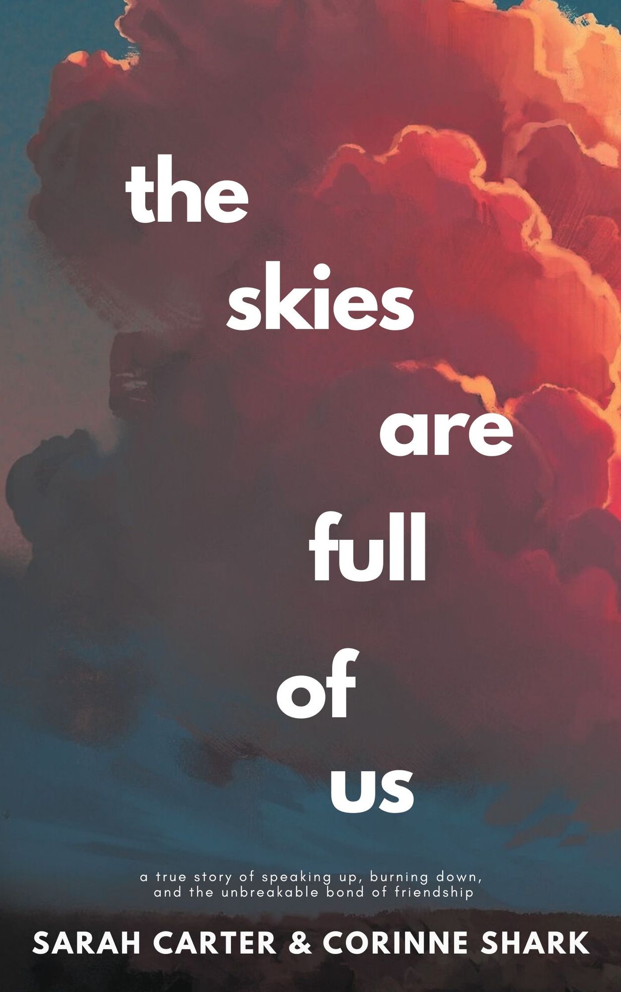 the skies are full of us: a true story of speaking up, burning down, and the unbreakable bond of friendship