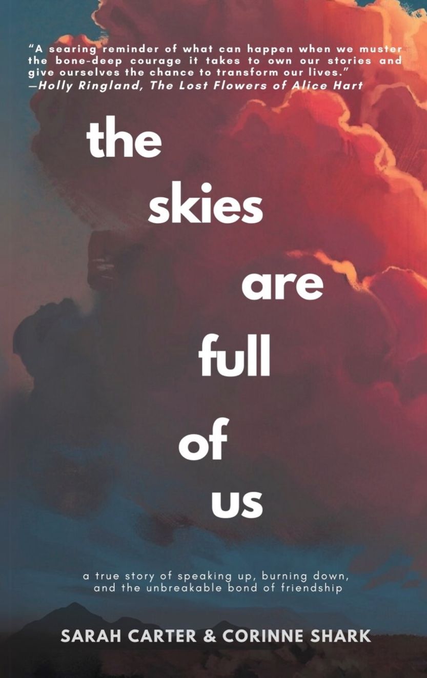 the skies are full of us: a true story of speaking up, burning down, and the unbreakable bond of friendship