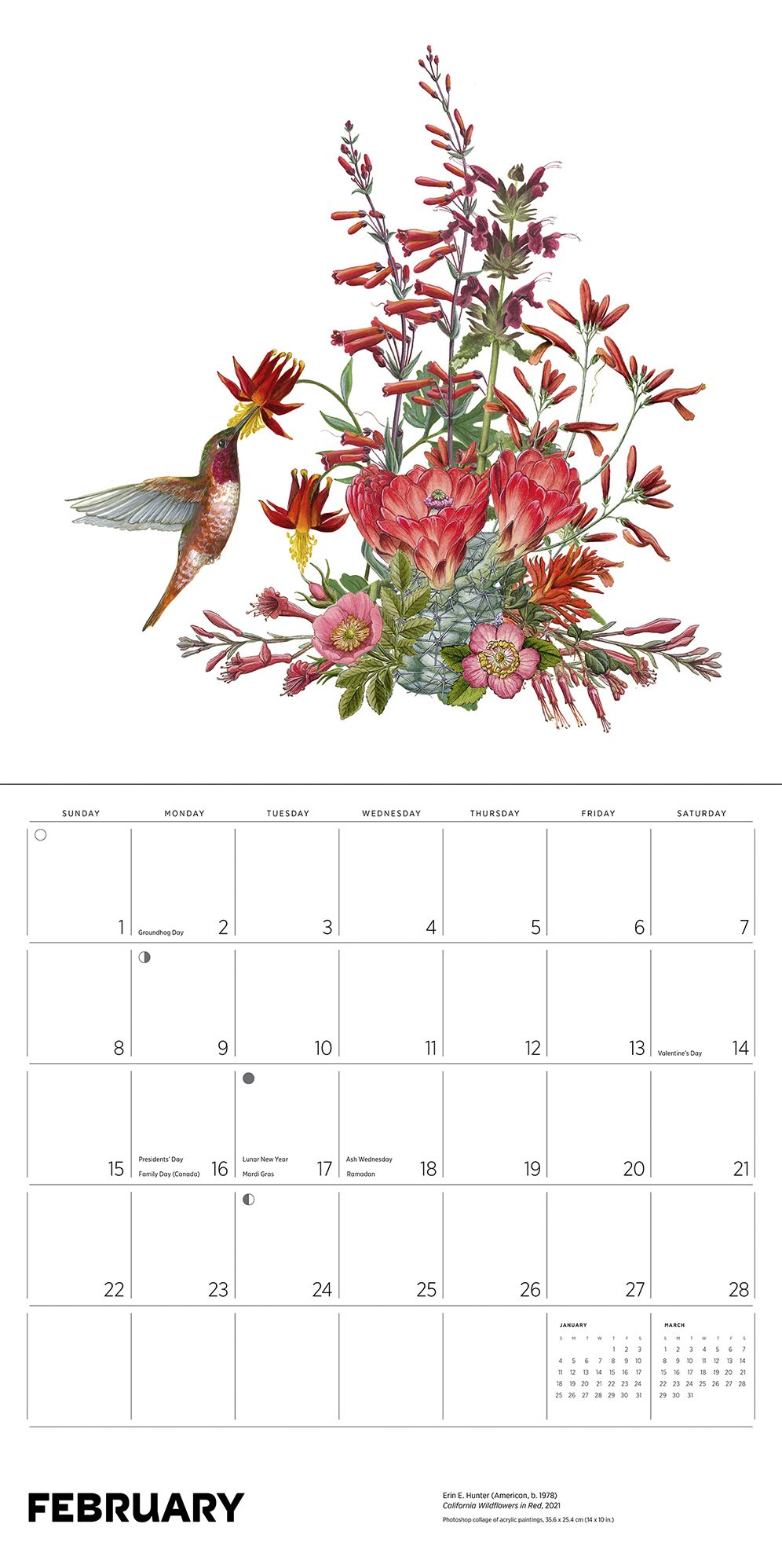 2026 Erin E. Hunter: Pollinators Wall Calendar