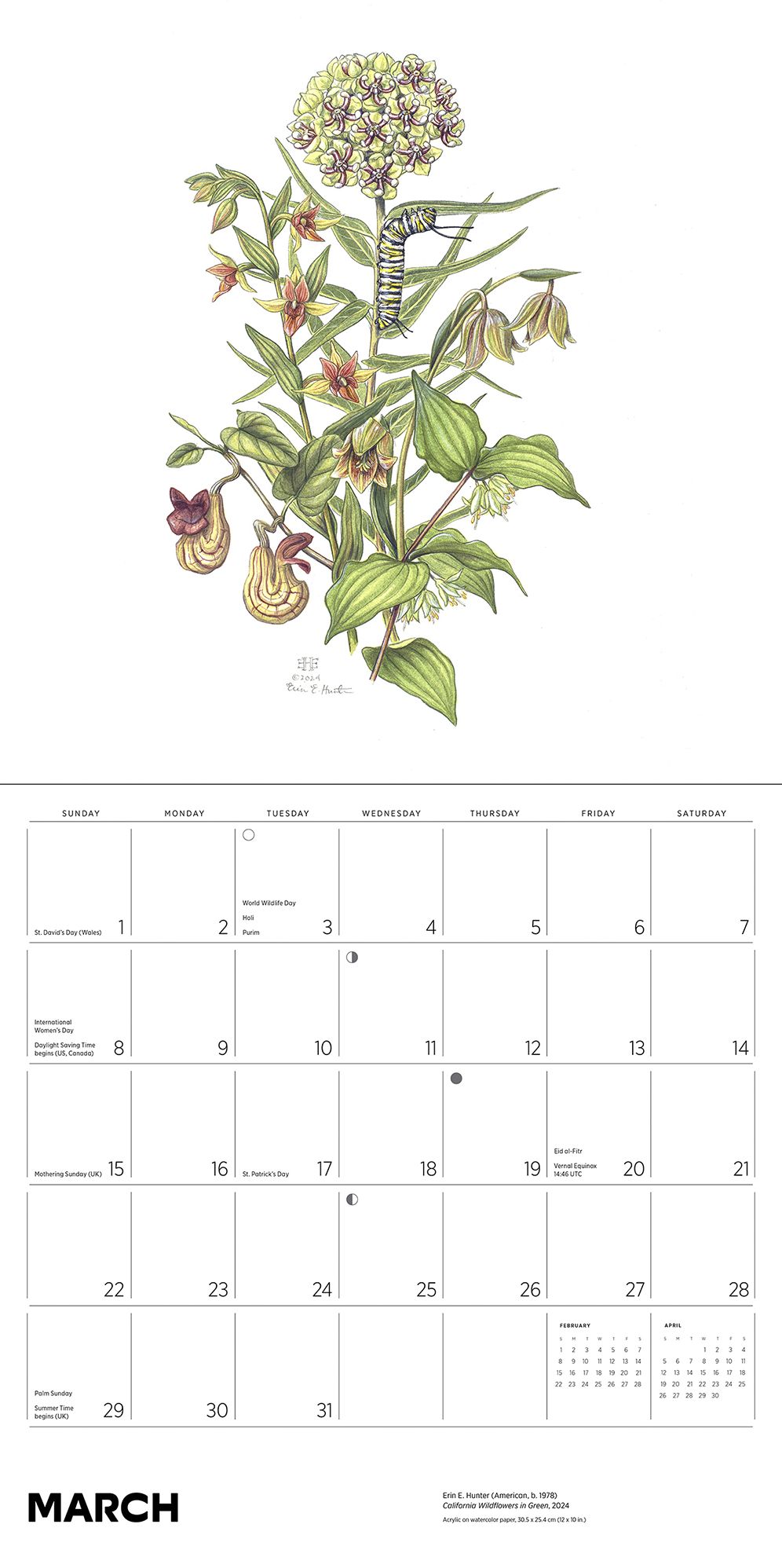 2026 Erin E. Hunter: Pollinators Wall Calendar