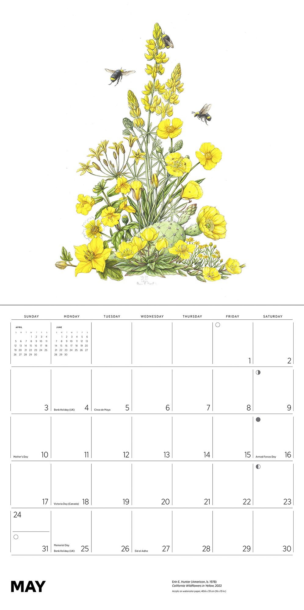 2026 Erin E. Hunter: Pollinators Wall Calendar