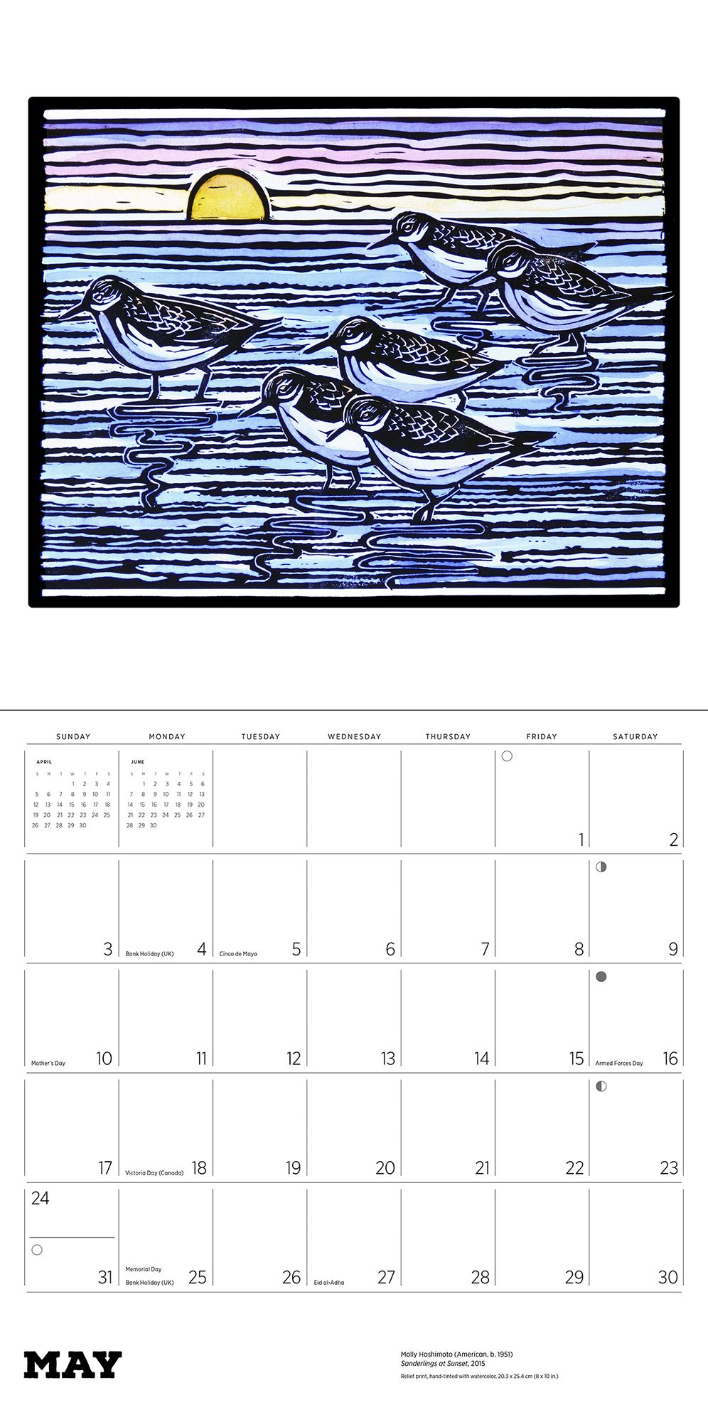 2026 Molly Hashimoto: Birds Wall Calendar