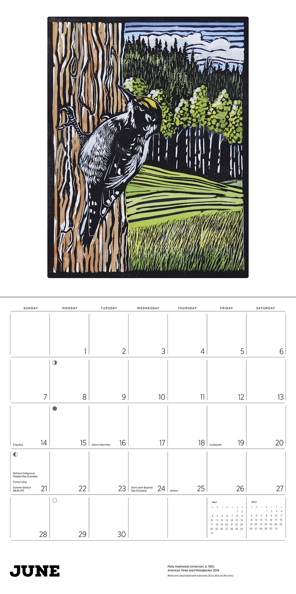2026 Molly Hashimoto: Birds Wall Calendar