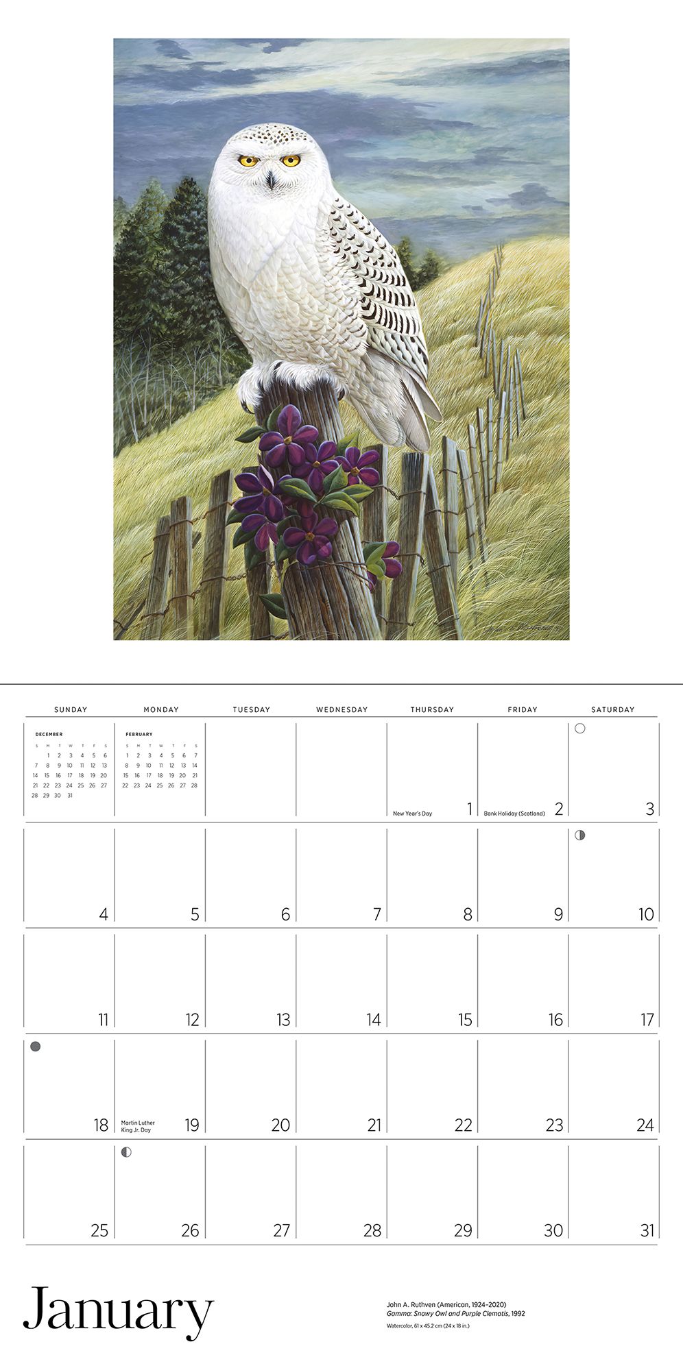 2026 A Birder's View: Paintings by John A. Ruthven Wall Calendar