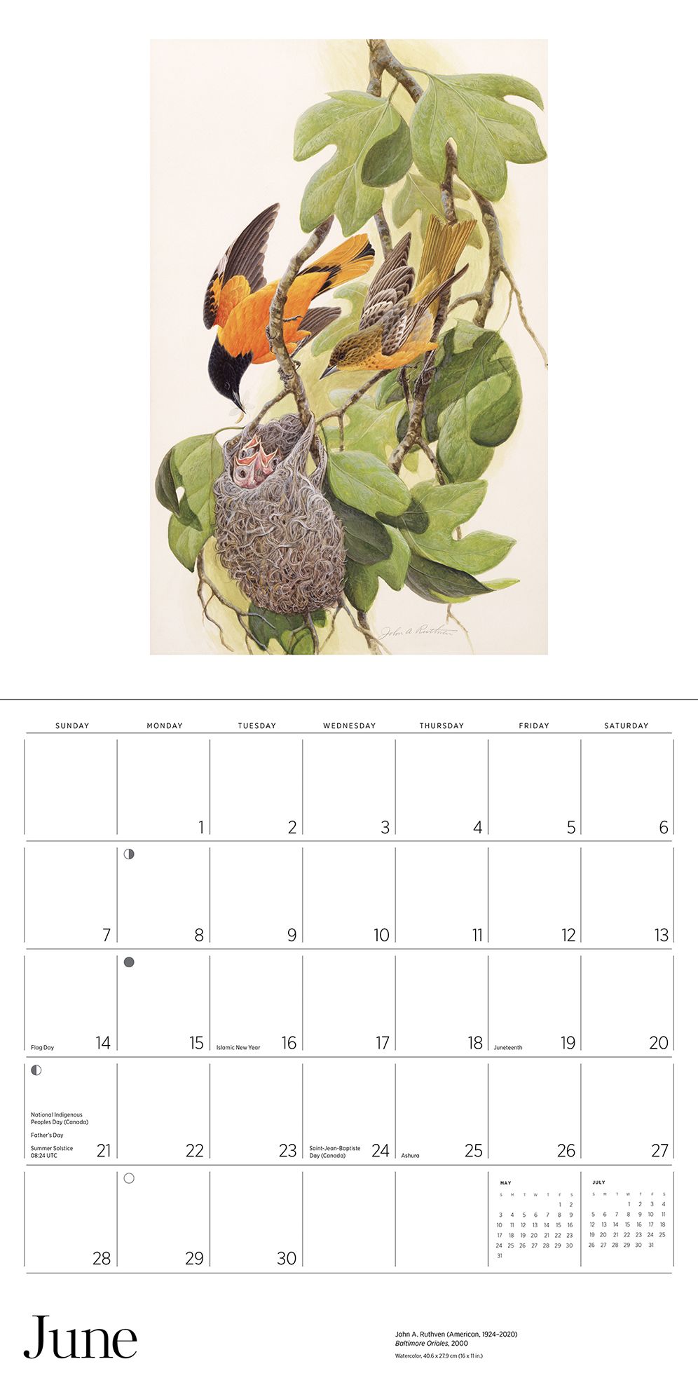 2026 A Birder's View: Paintings by John A. Ruthven Wall Calendar