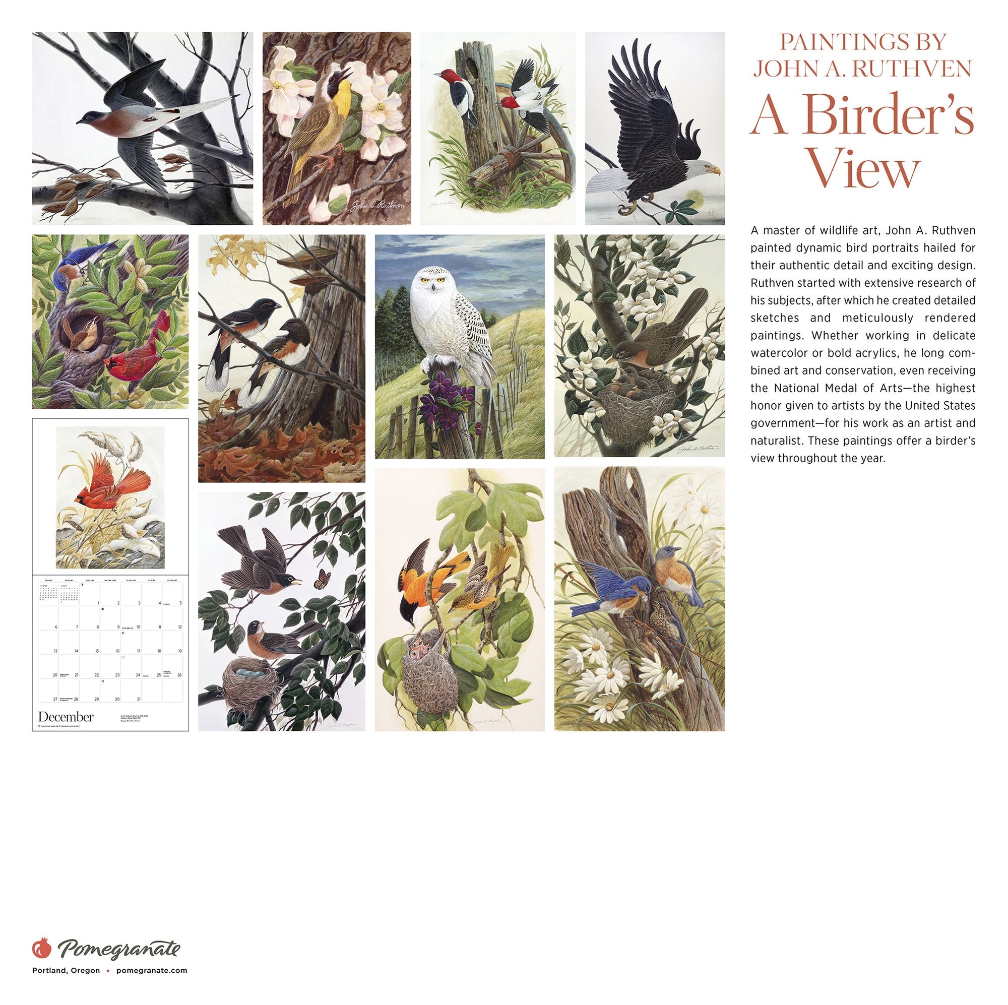 2026 A Birder's View: Paintings by John A. Ruthven Wall Calendar
