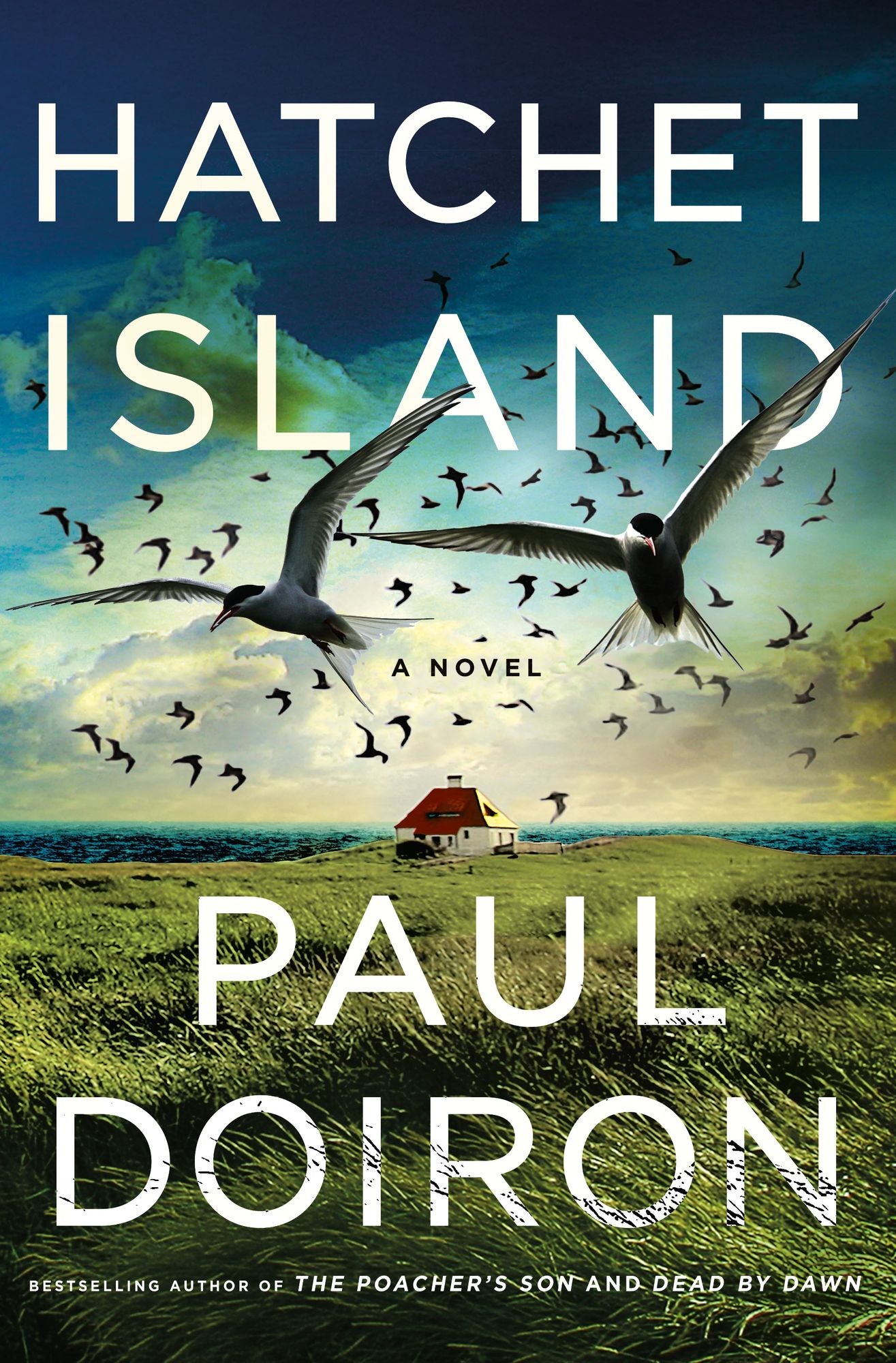 Hatchet Island (Mike Bowditch Series #13)
