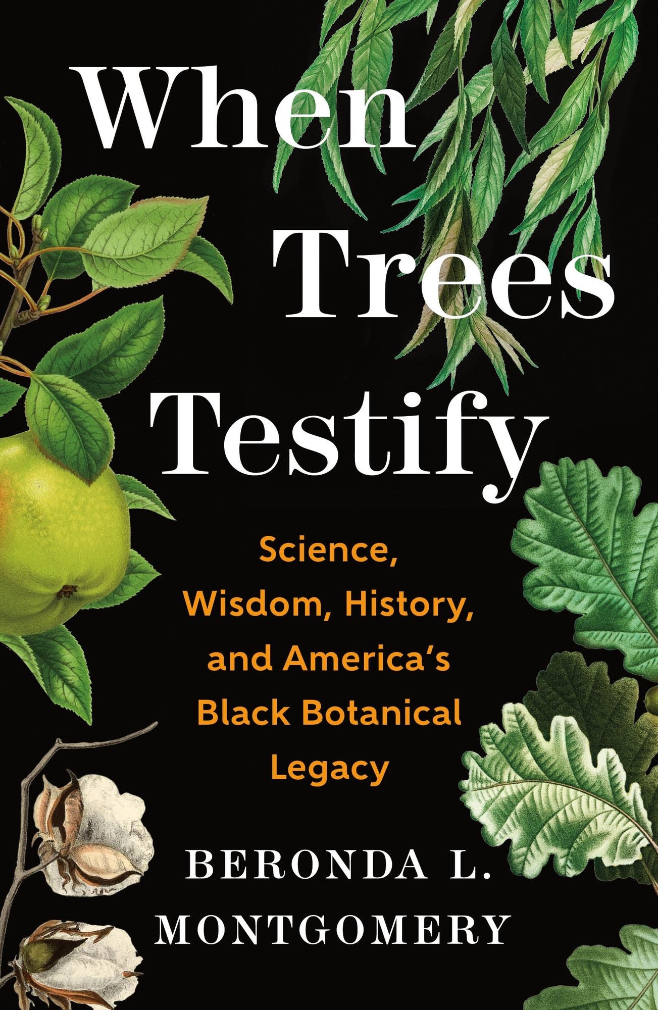 When Trees Testify: Science, Wisdom, History, and America's Black Botanical Legacy