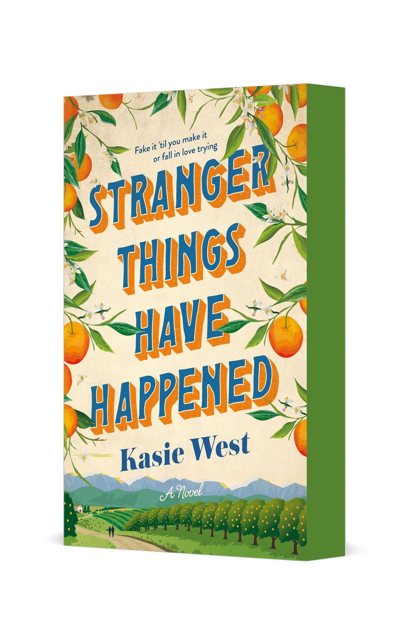 Stranger Things Have Happened: A Novel