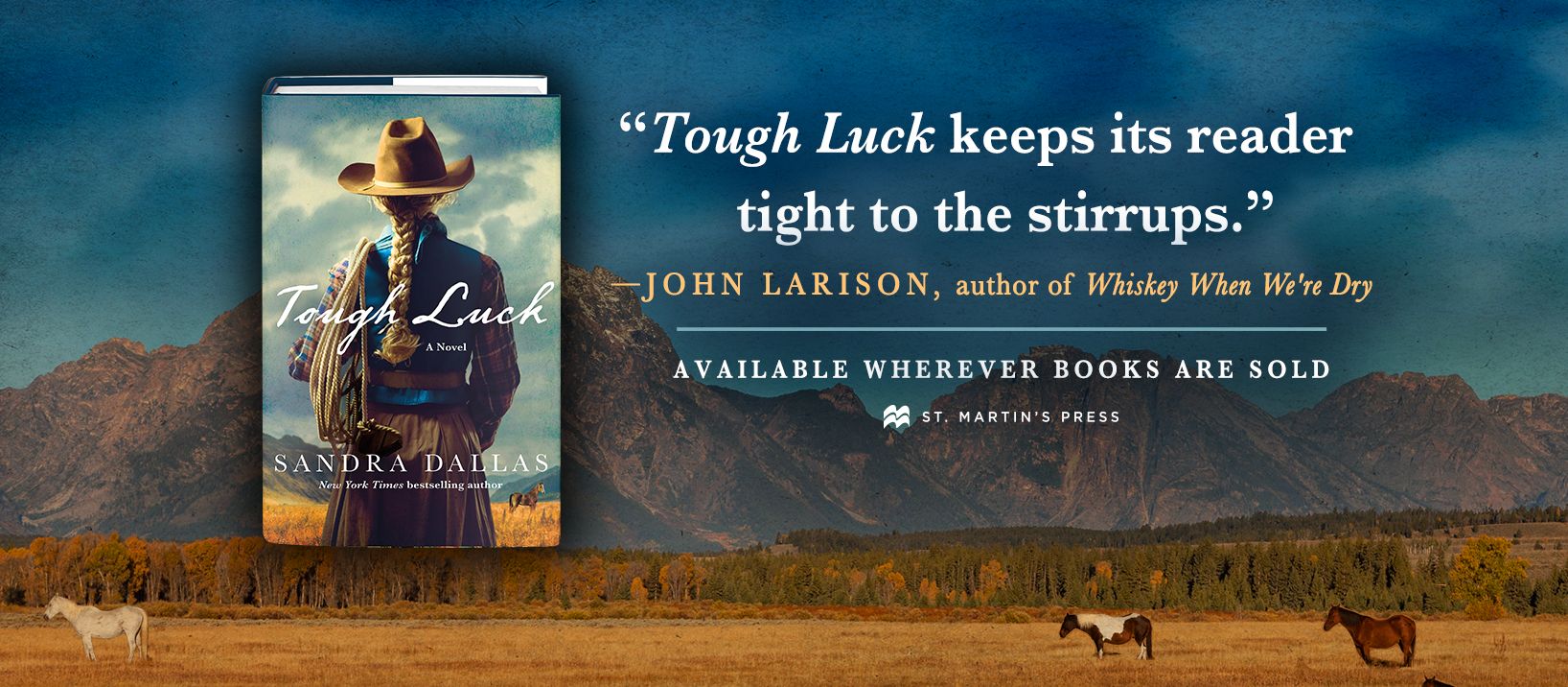 Tough Luck: A Novel