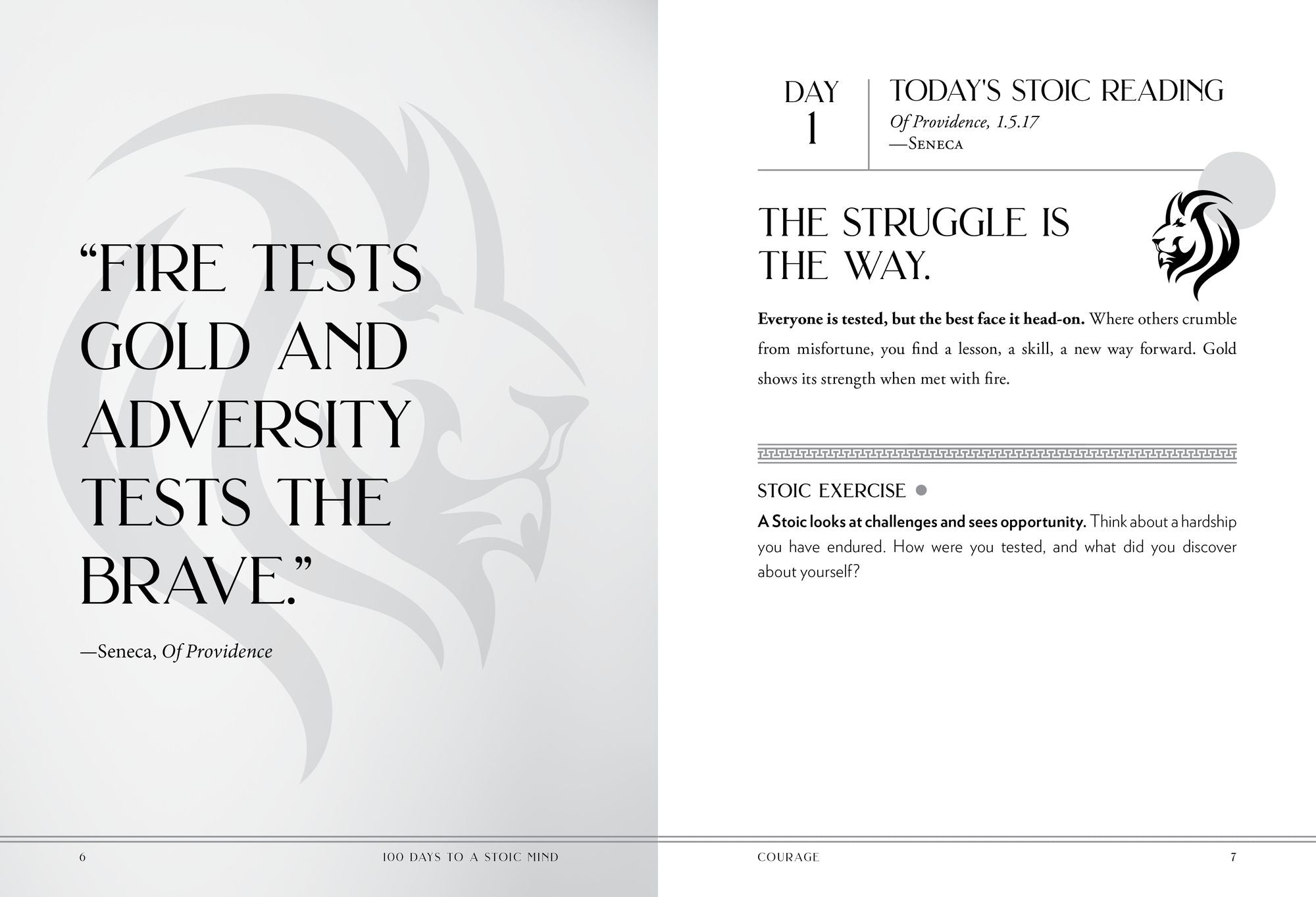100 Days to a Stoic Mind: A Roadmap to Resilience and Finding Peace in Discipline