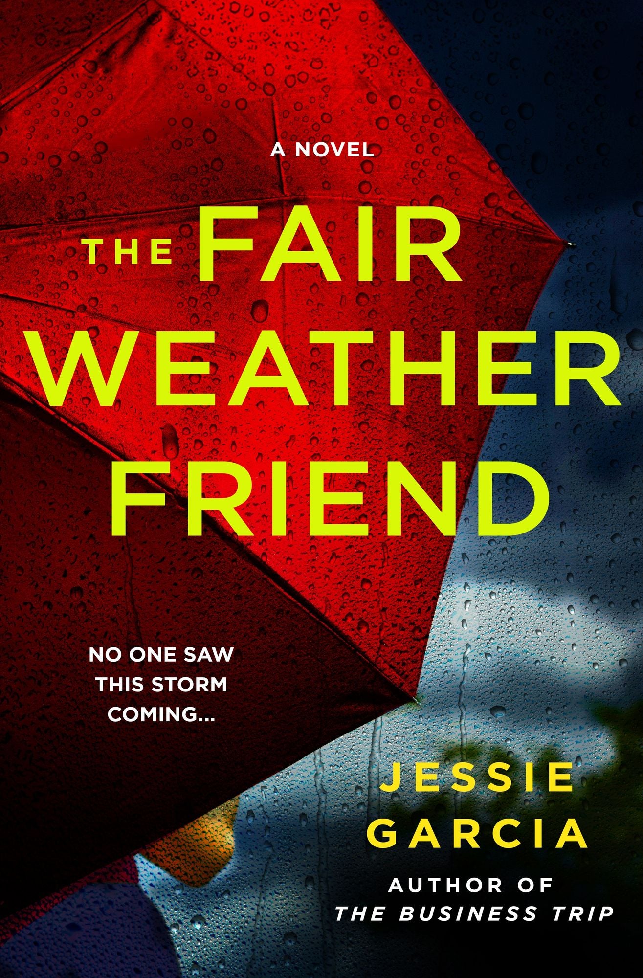 The Fair Weather Friend: A Novel