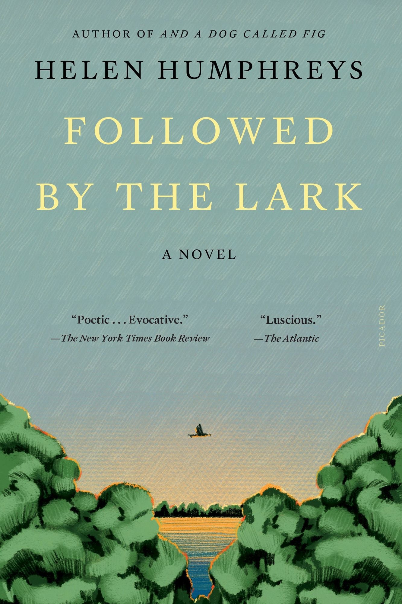 Followed by the Lark: A Novel