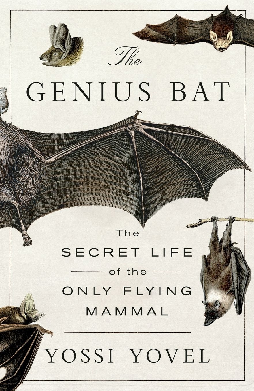 The Genius Bat: The Secret Life of the Only Flying Mammal
