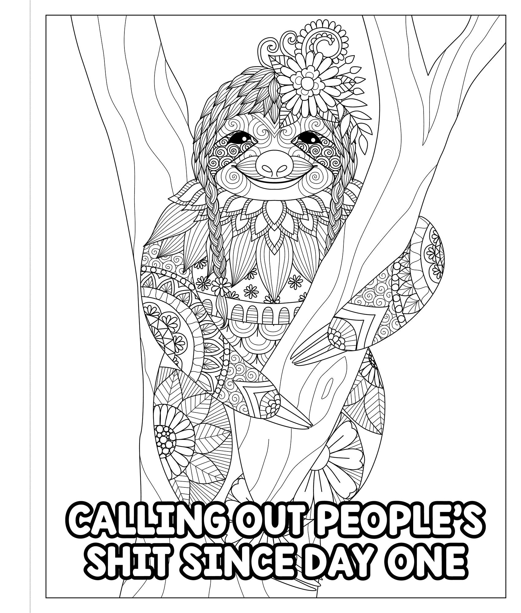 For F*ck's Sake: A Satisfyingly Sweary Adult Coloring Book