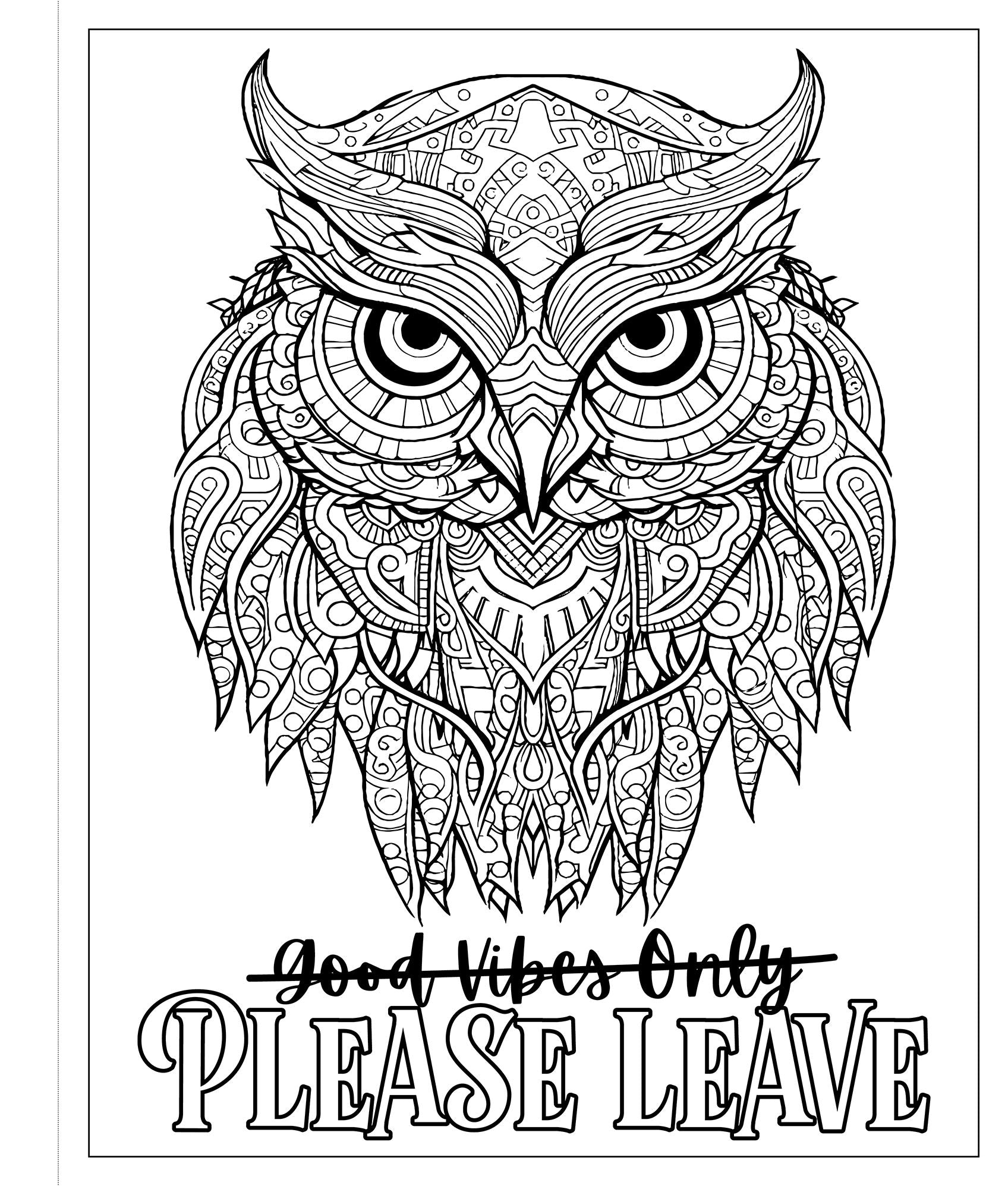 For F*ck's Sake: A Satisfyingly Sweary Adult Coloring Book