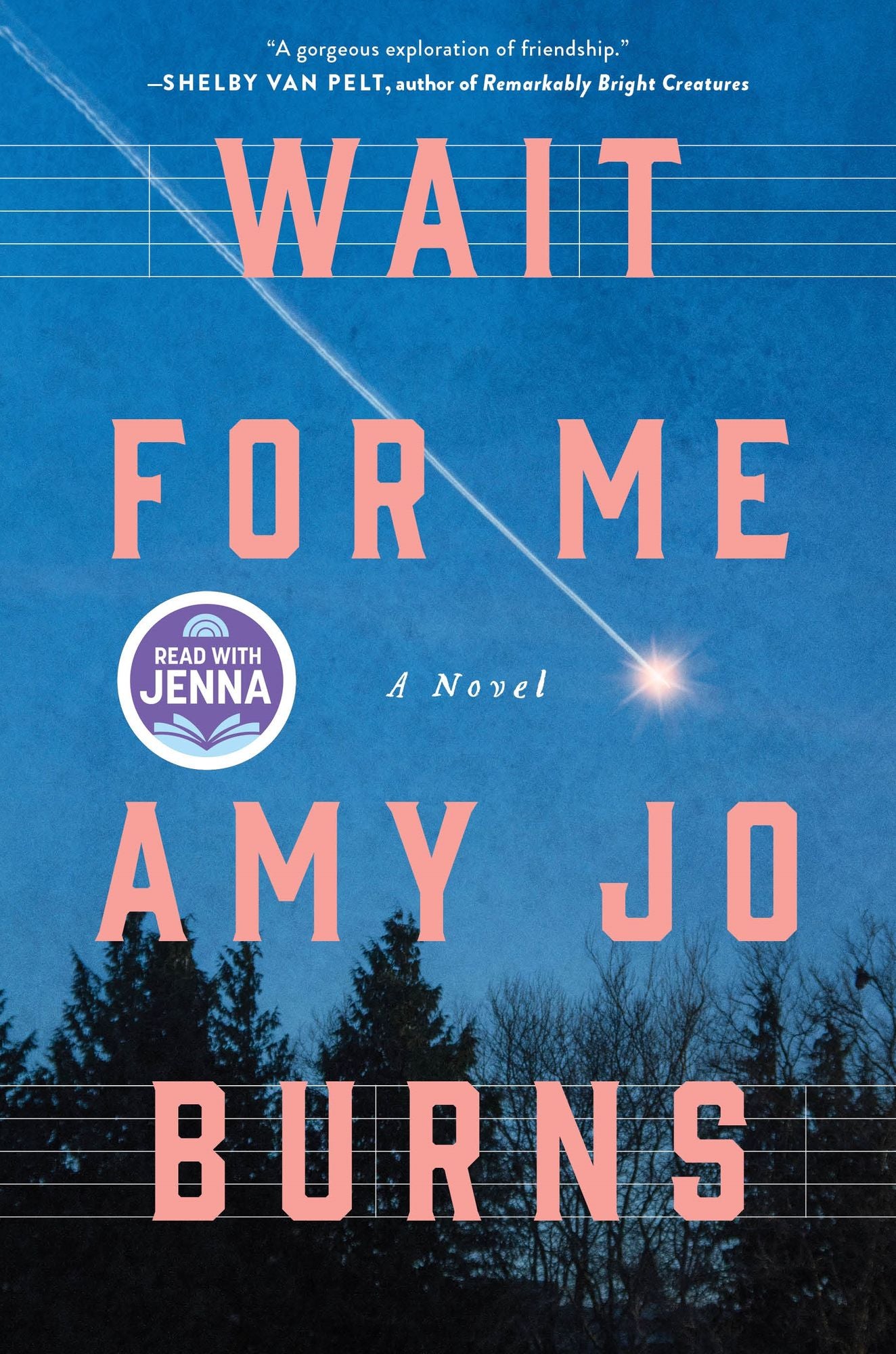 Wait for Me: A Novel