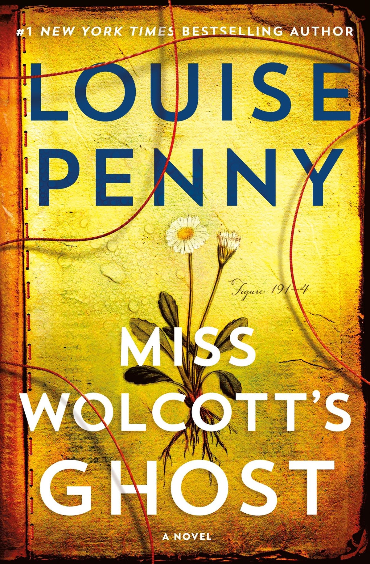 Miss Wolcott's Ghost (Chief Inspector Gamache Series #21)