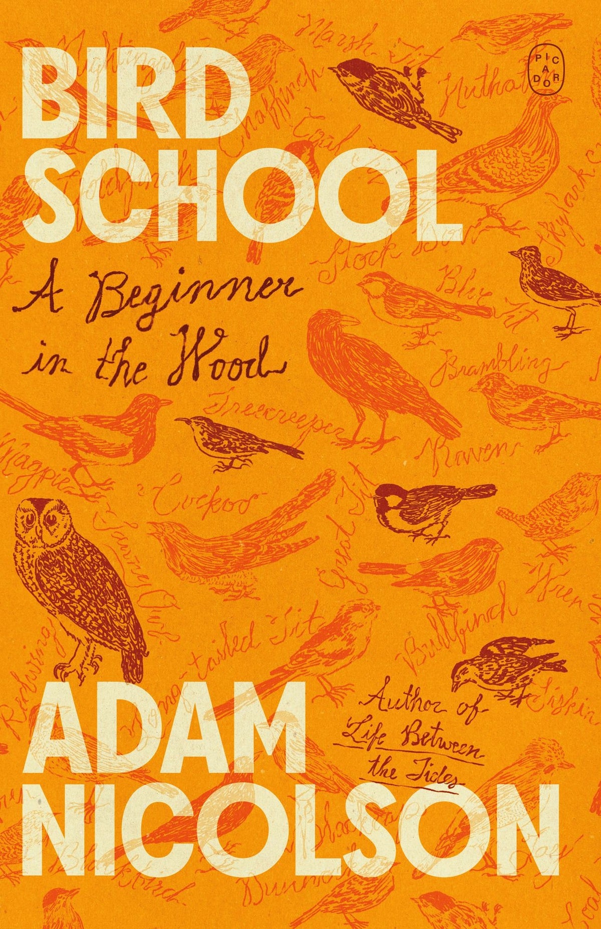 Bird School: A Beginner in the Wood