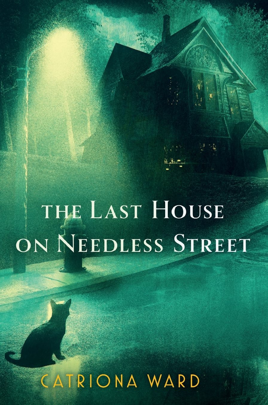 The Last House on Needless Street