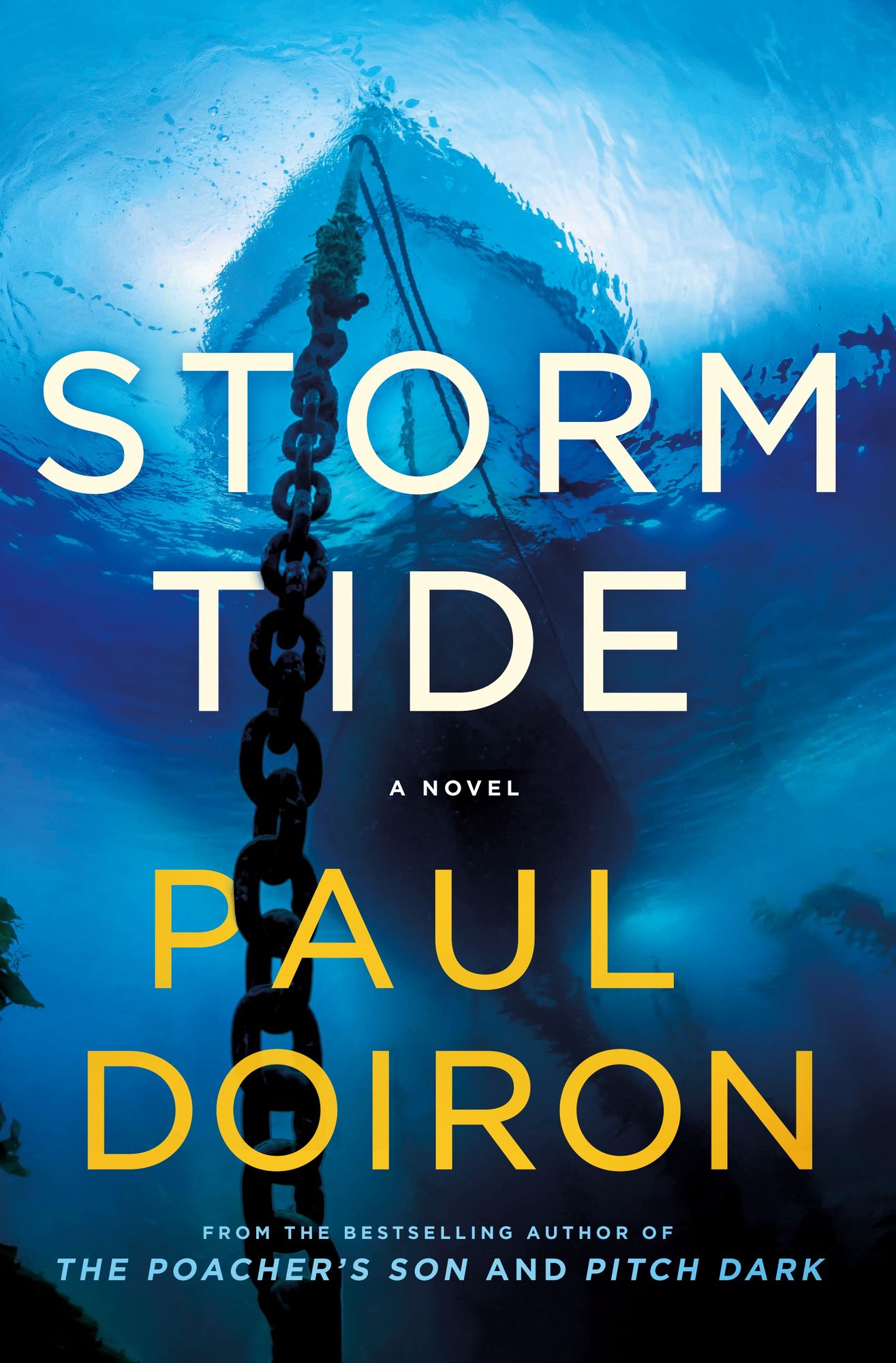 Storm Tide: A Novel