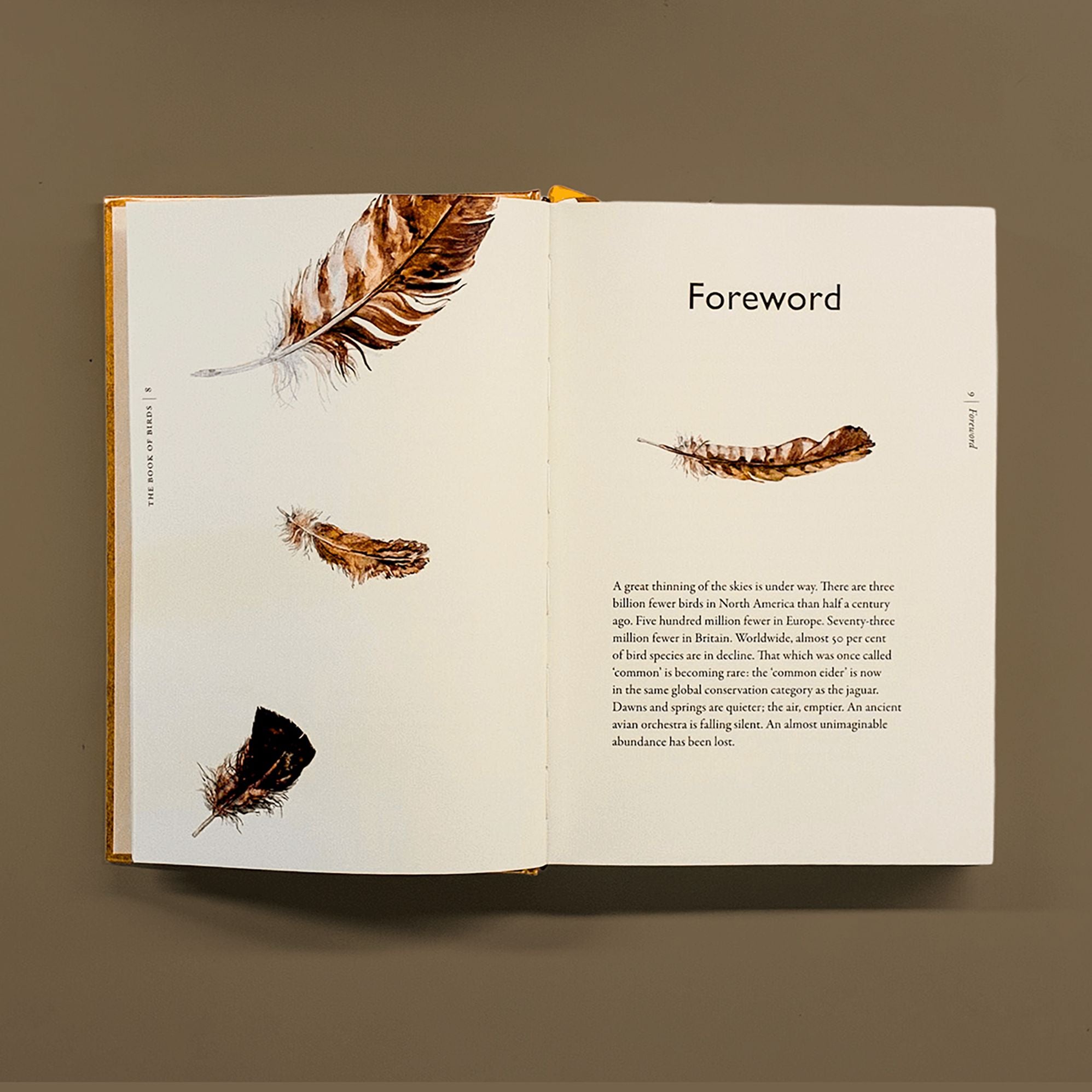 The Book of Birds: A Field Guide to Wonder and Loss