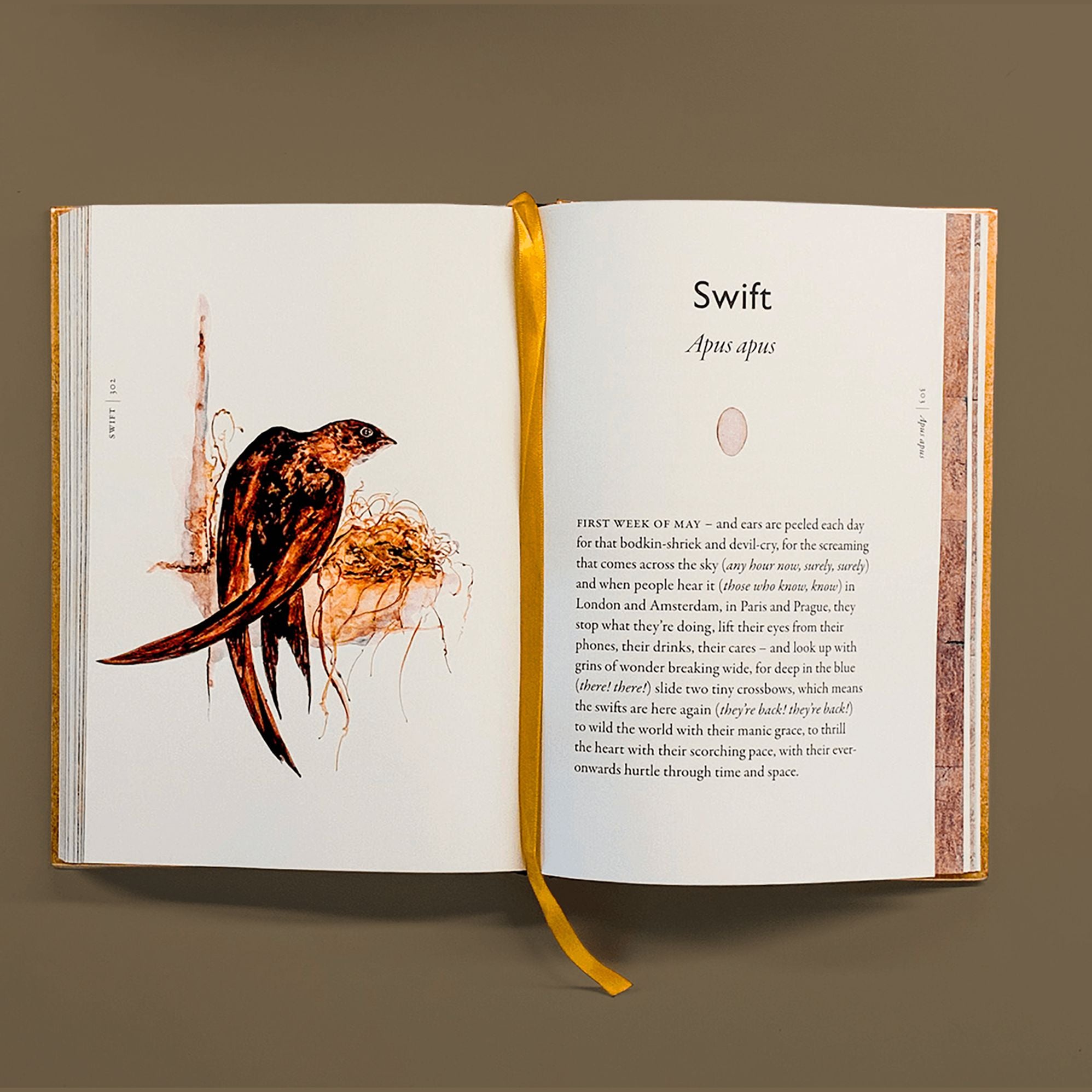 The Book of Birds: A Field Guide to Wonder and Loss