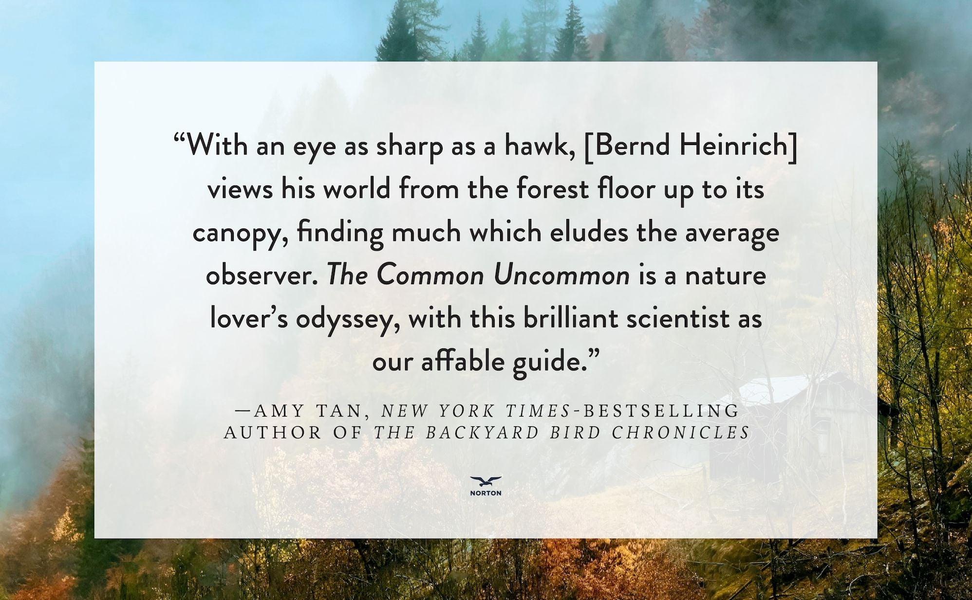 The Common Uncommon: A Forest Journey
