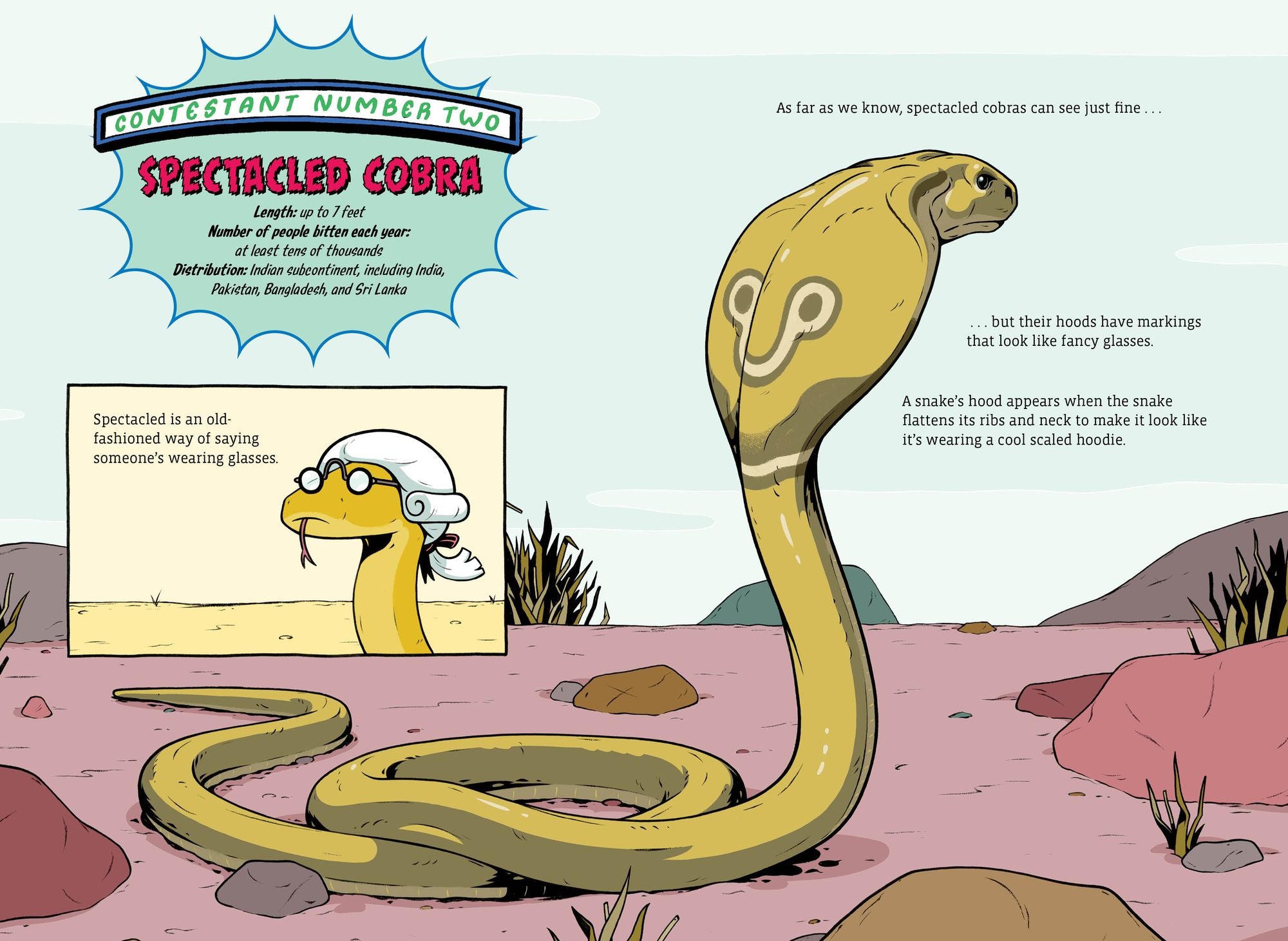 The Deadliest: Snake