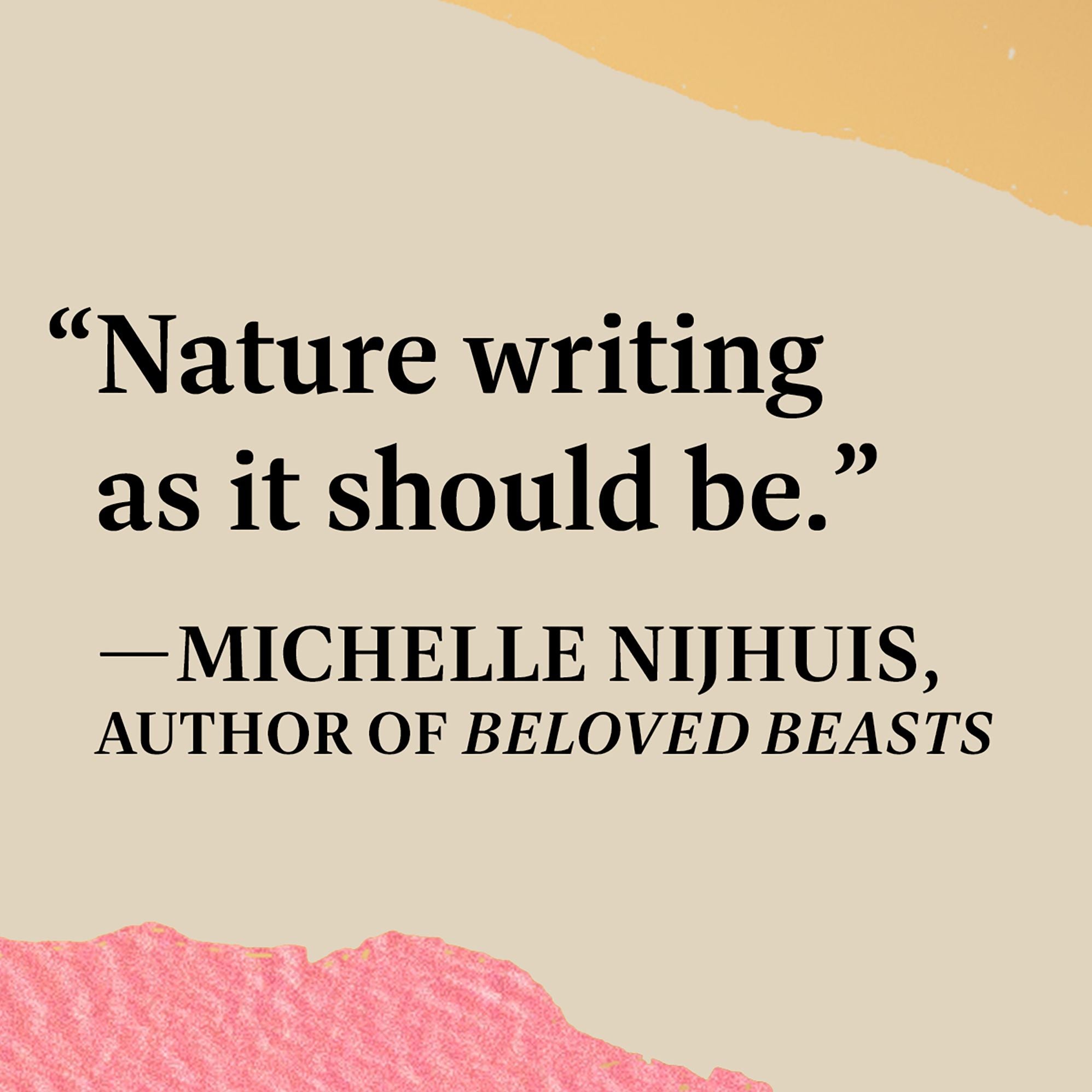 Salt Lakes: An Unnatural History