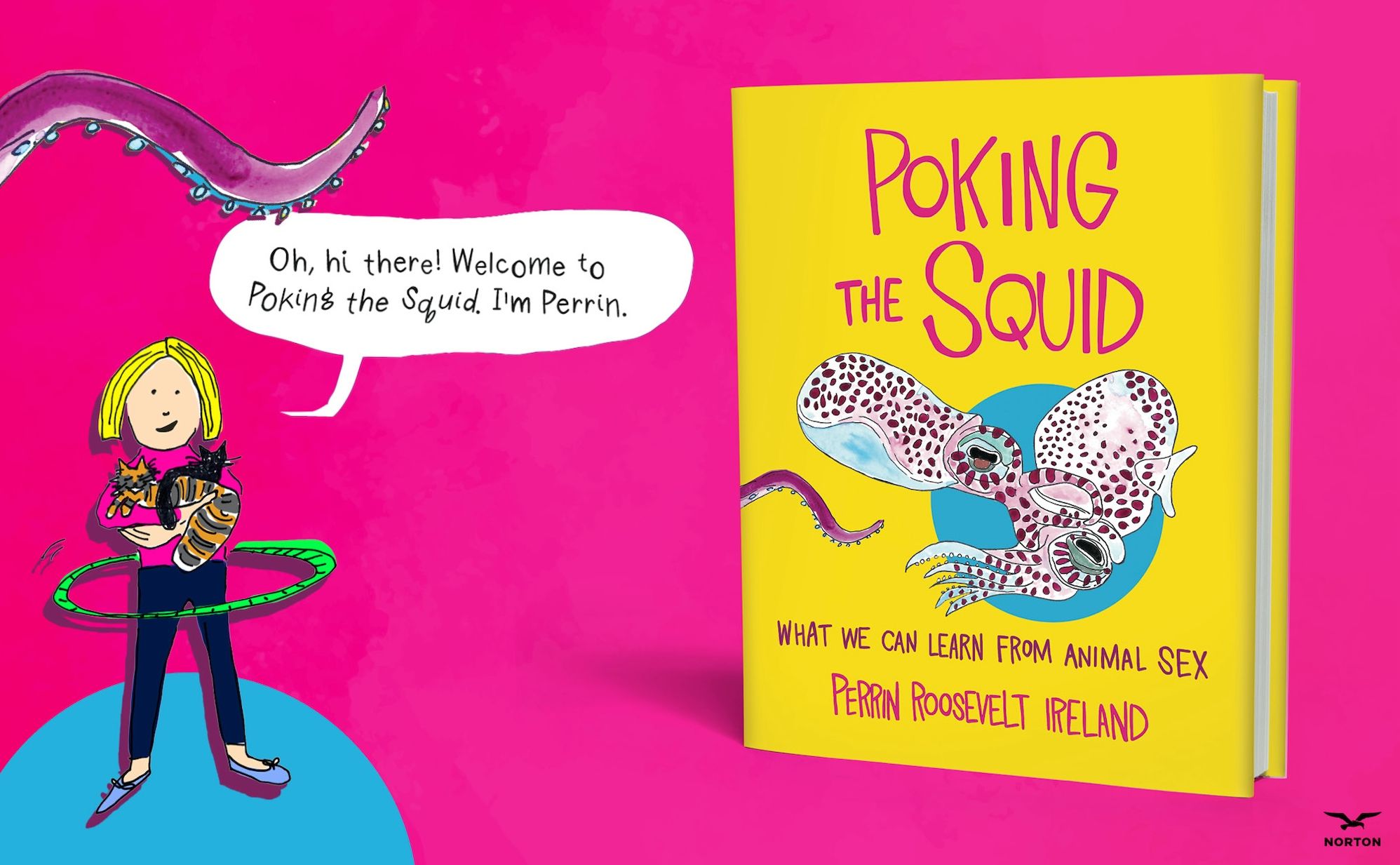Poking the Squid: What We Can Learn from Animal Sex