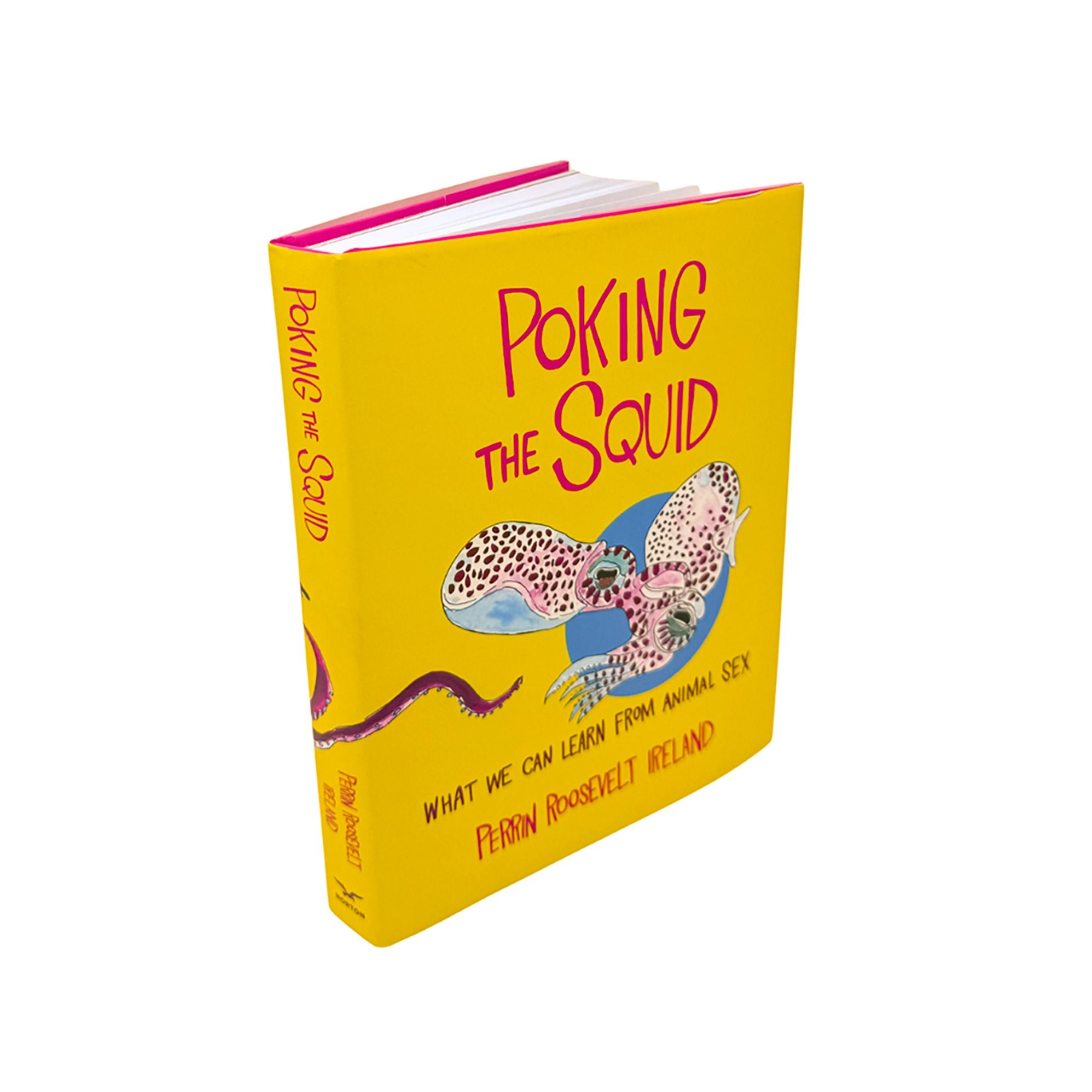 Poking the Squid: What We Can Learn from Animal Sex