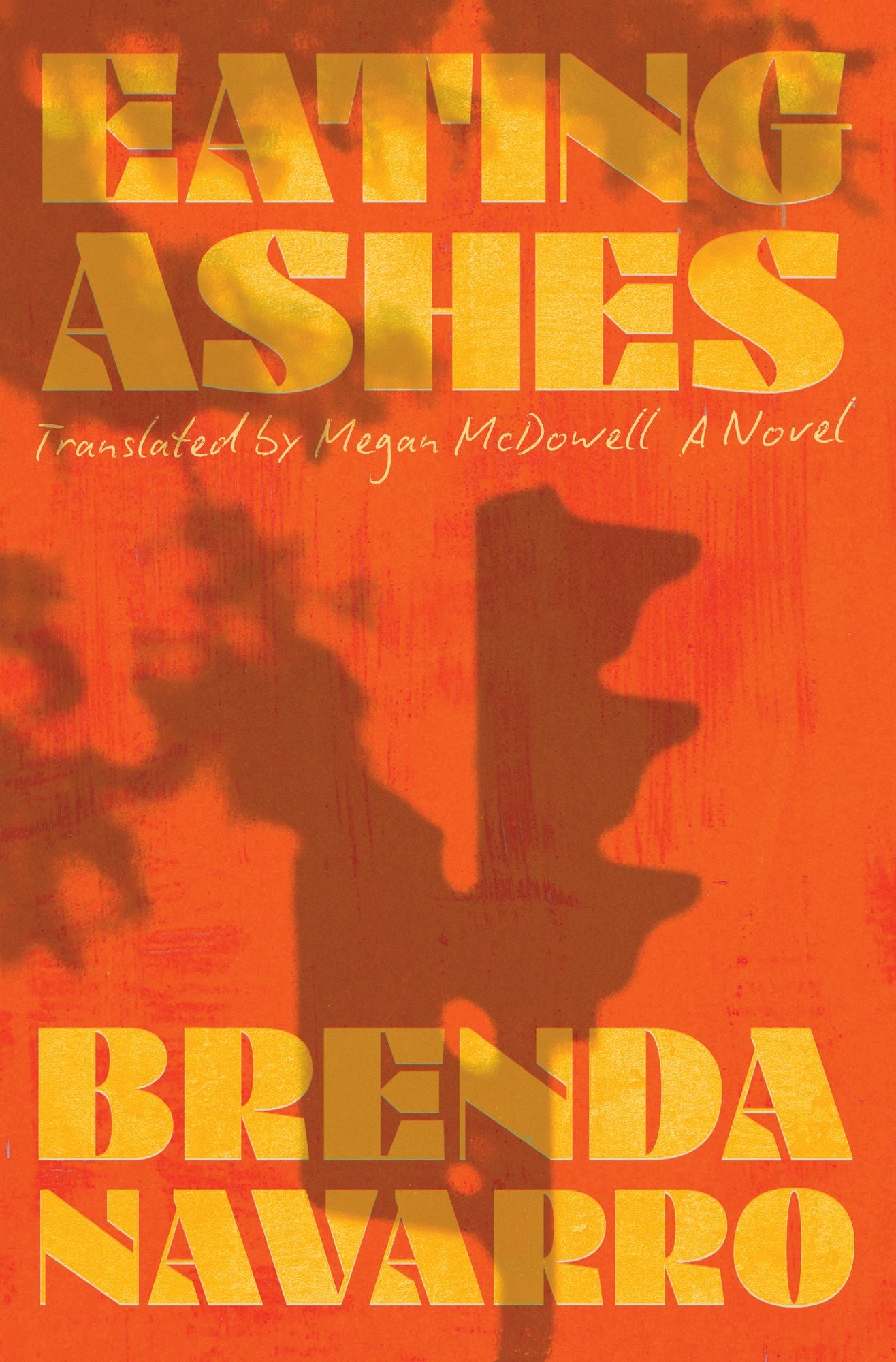 Eating Ashes: A Novel