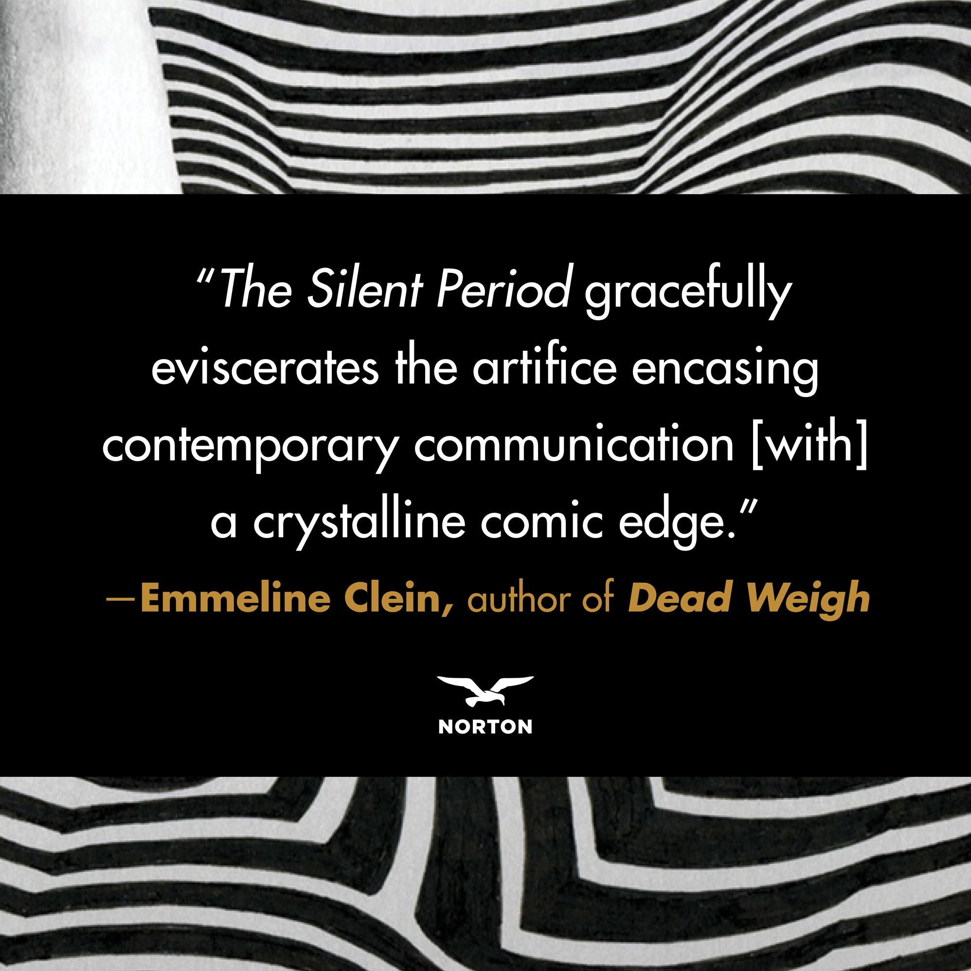 The Silent Period: A Novel