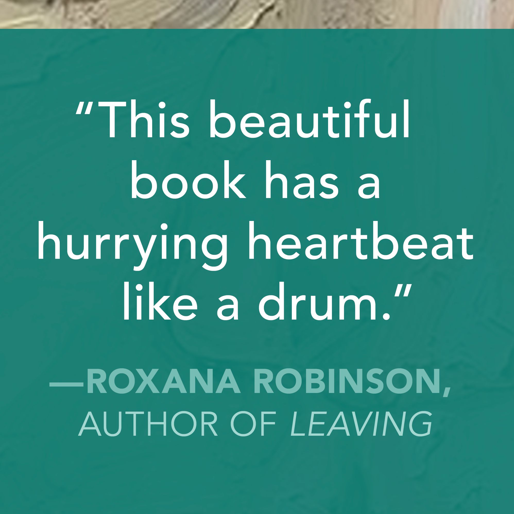 A Beautiful Loan: A Novel
