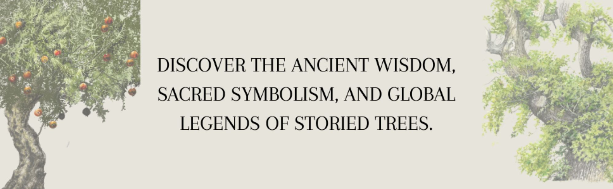 Tree Lore: Magic, Myth, and Wisdom from Root to Bough