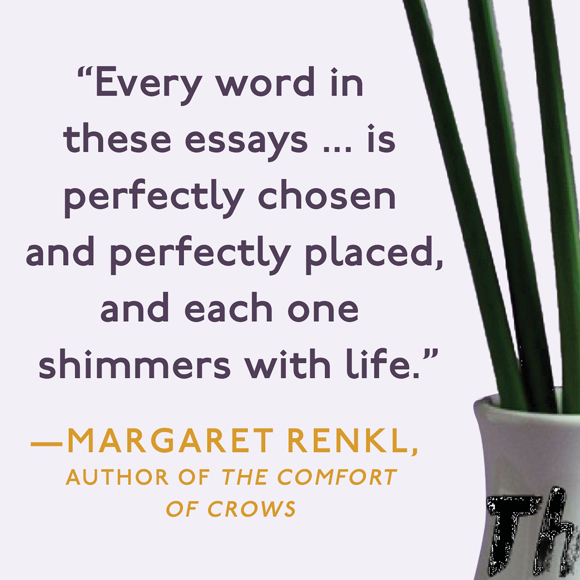 The Irish Goodbye: Micro-Memoirs