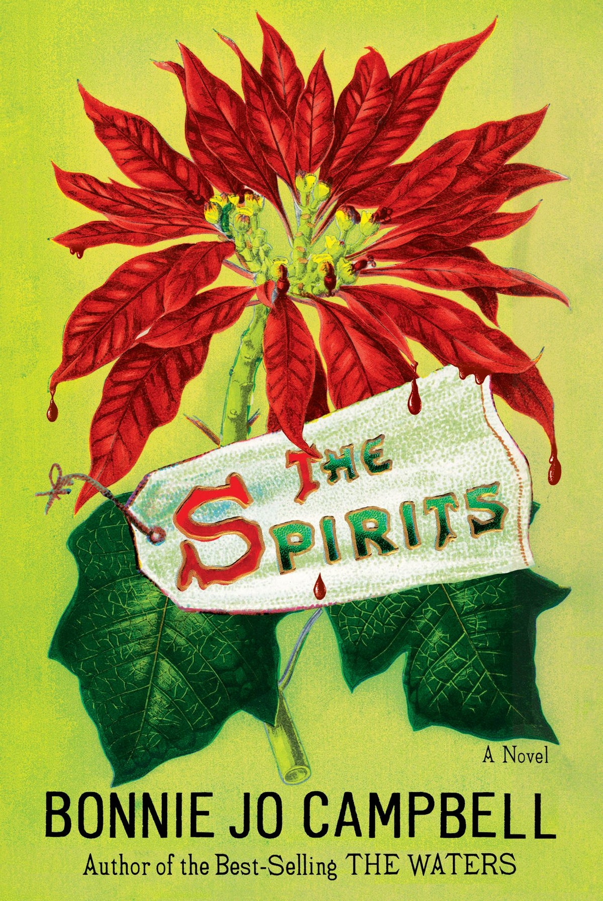 The Spirits: A Novel