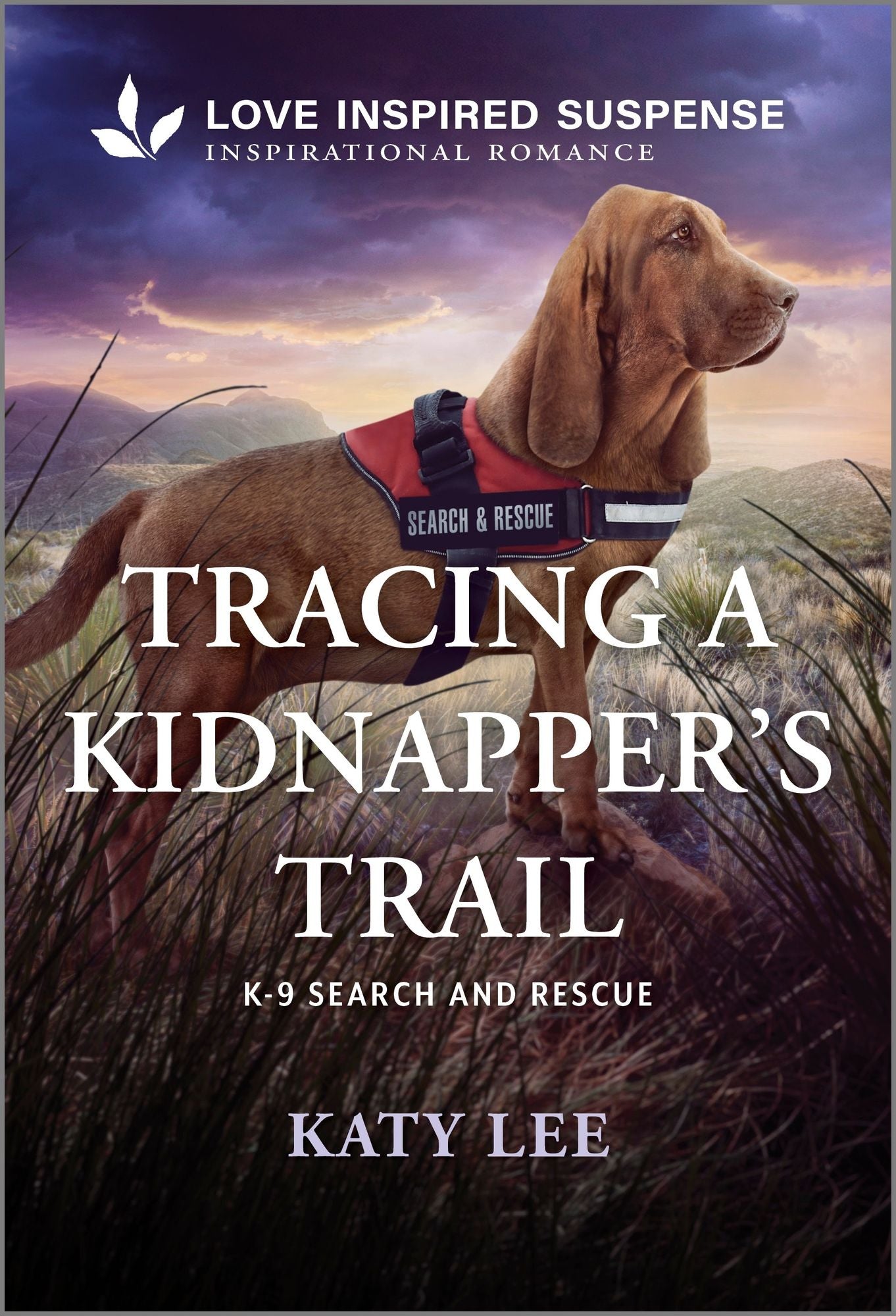 Tracing a Kidnapper's Trail