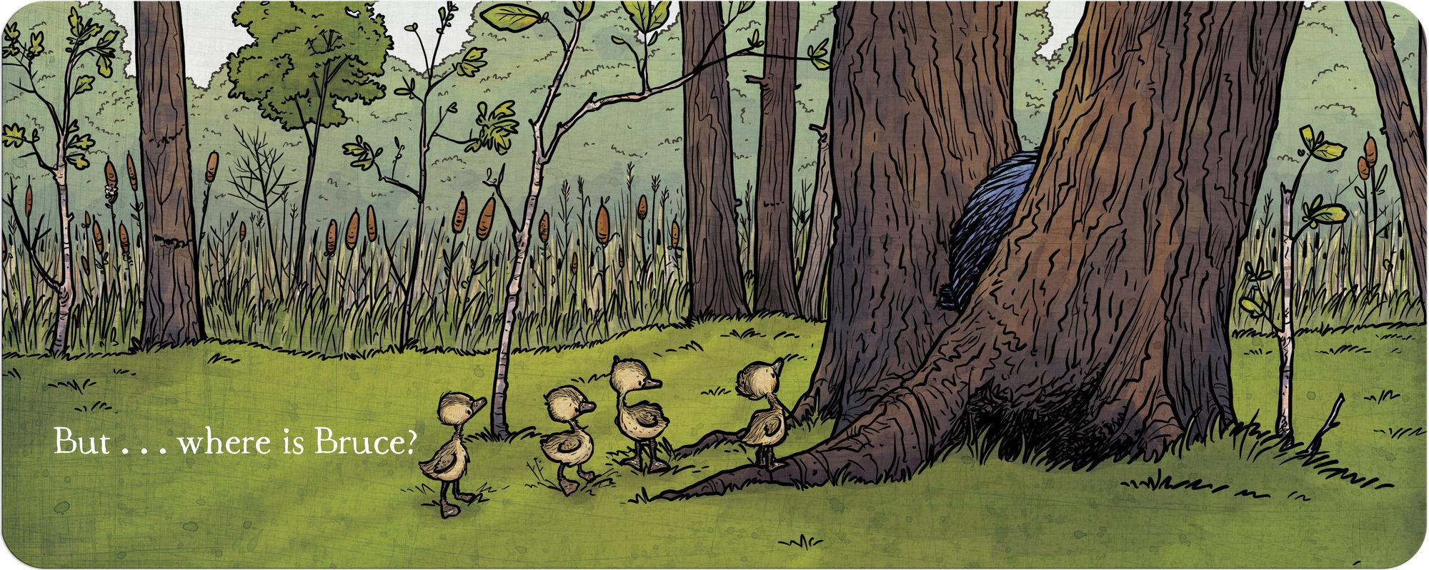 Peek-a-Bruce