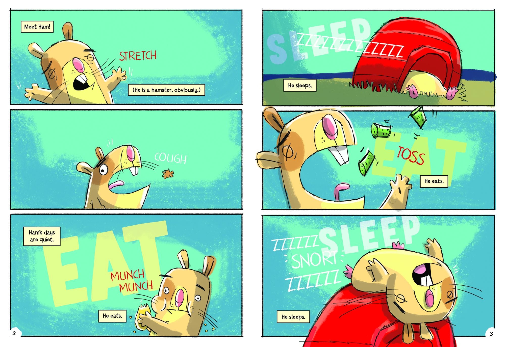 Pet Shop Racers
