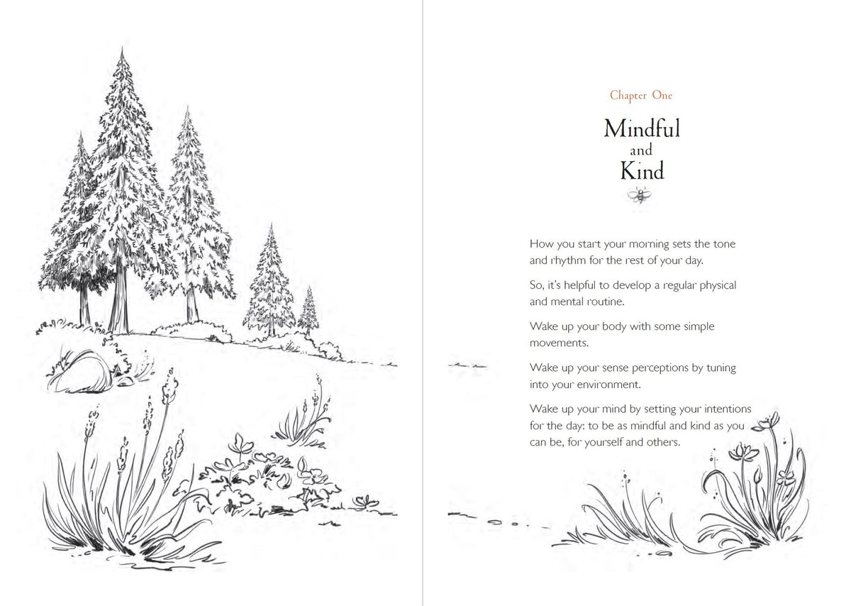 A Walk in the Wood: Meditations on Mindfulness with a Bear Named Pooh