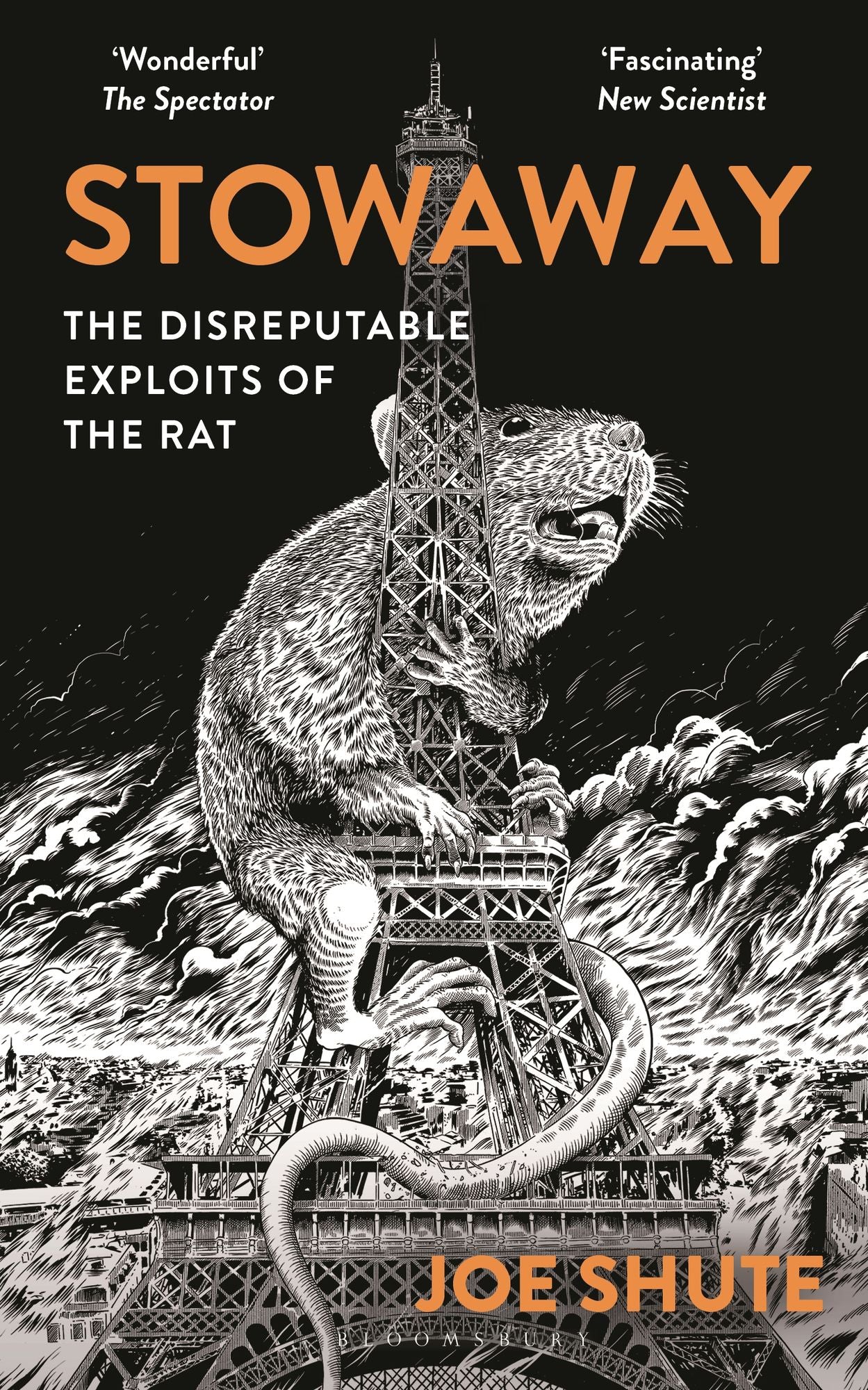 Stowaway: The Disreputable Exploits of the Rat - A NEW SCIENTIST NON-FICTION BOOK OF THE YEAR