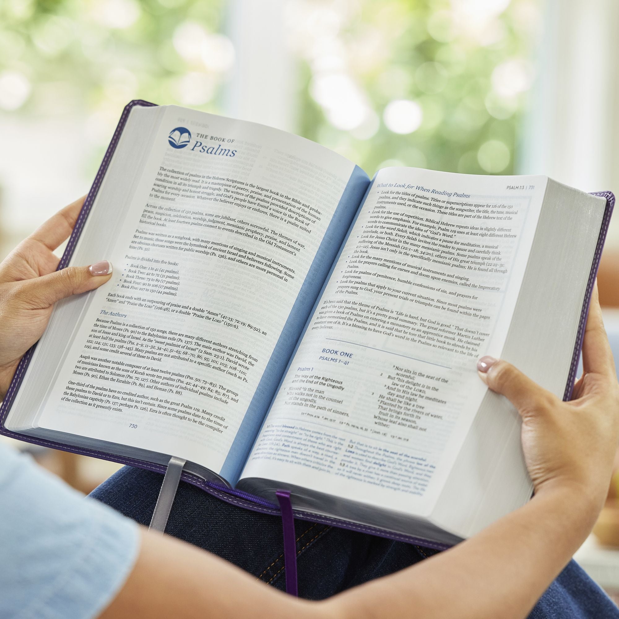 Enduring Word Study Bible: Pastoral Commentary from Every Chapter of the Bible (NKJV, Purple Leathersoft, Red Letter, Comfort Print)