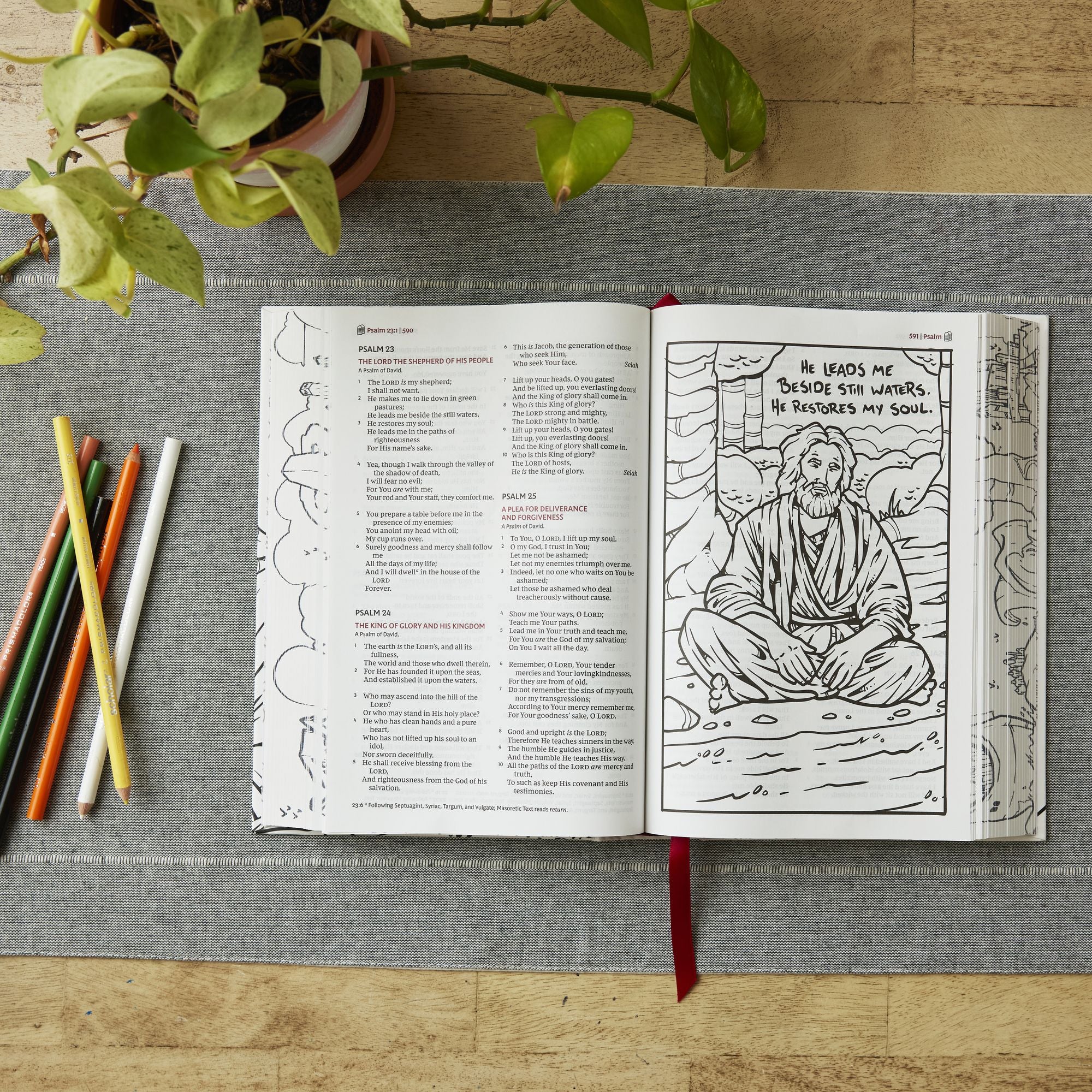 The Sketchbook Bible: The Complete Bible with Hundreds of Illustrations (NKJV, Hardcover, Red Letter, Comfort Print)