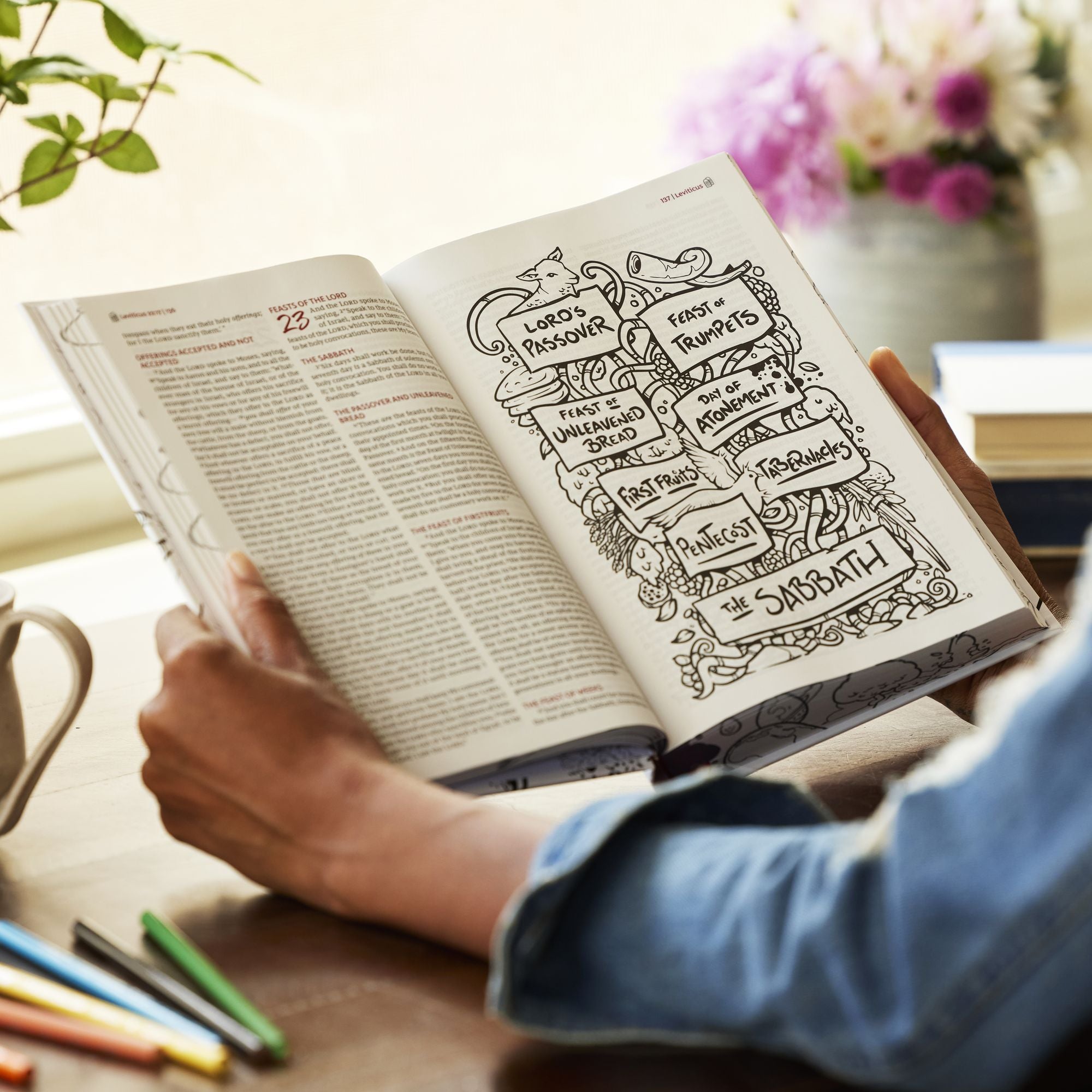 The Sketchbook Bible: The Complete Bible with Hundreds of Illustrations (NKJV, Hardcover, Red Letter, Comfort Print)