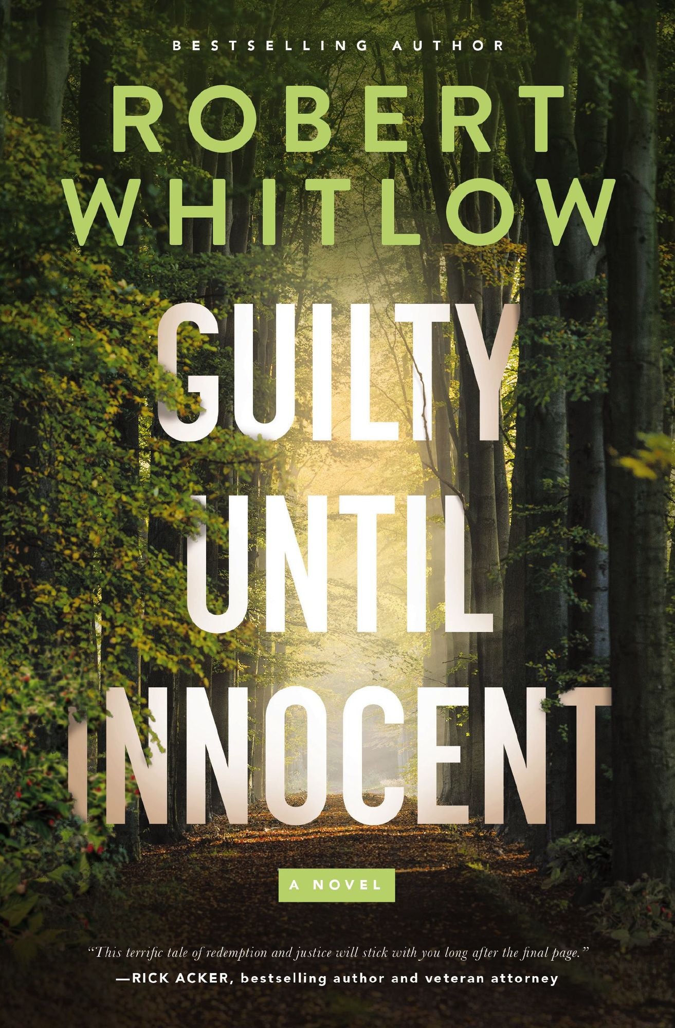Guilty Until Innocent: A Legal Suspense