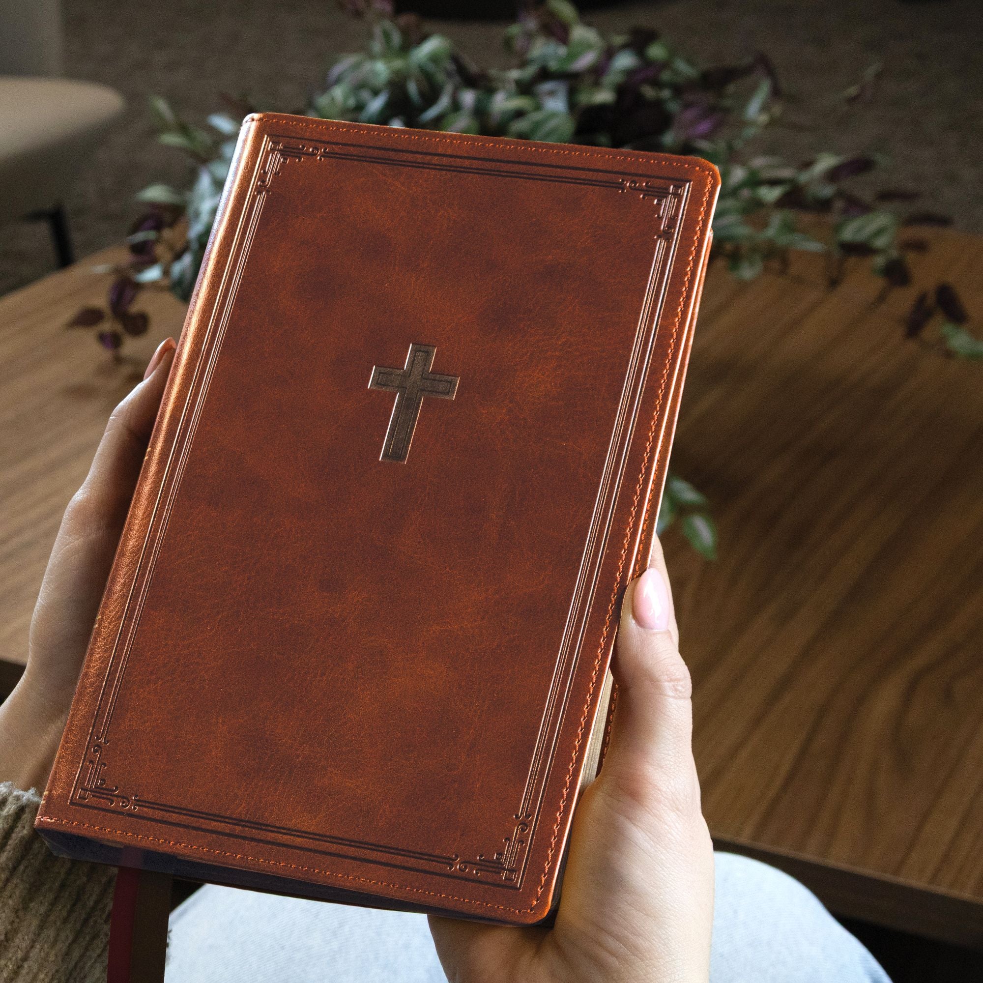 KJV Personal Size Large Print End-of-Verse Reference Bible, Brown Leathersoft, Red Letter, Comfort Print (Thumb Indexed)