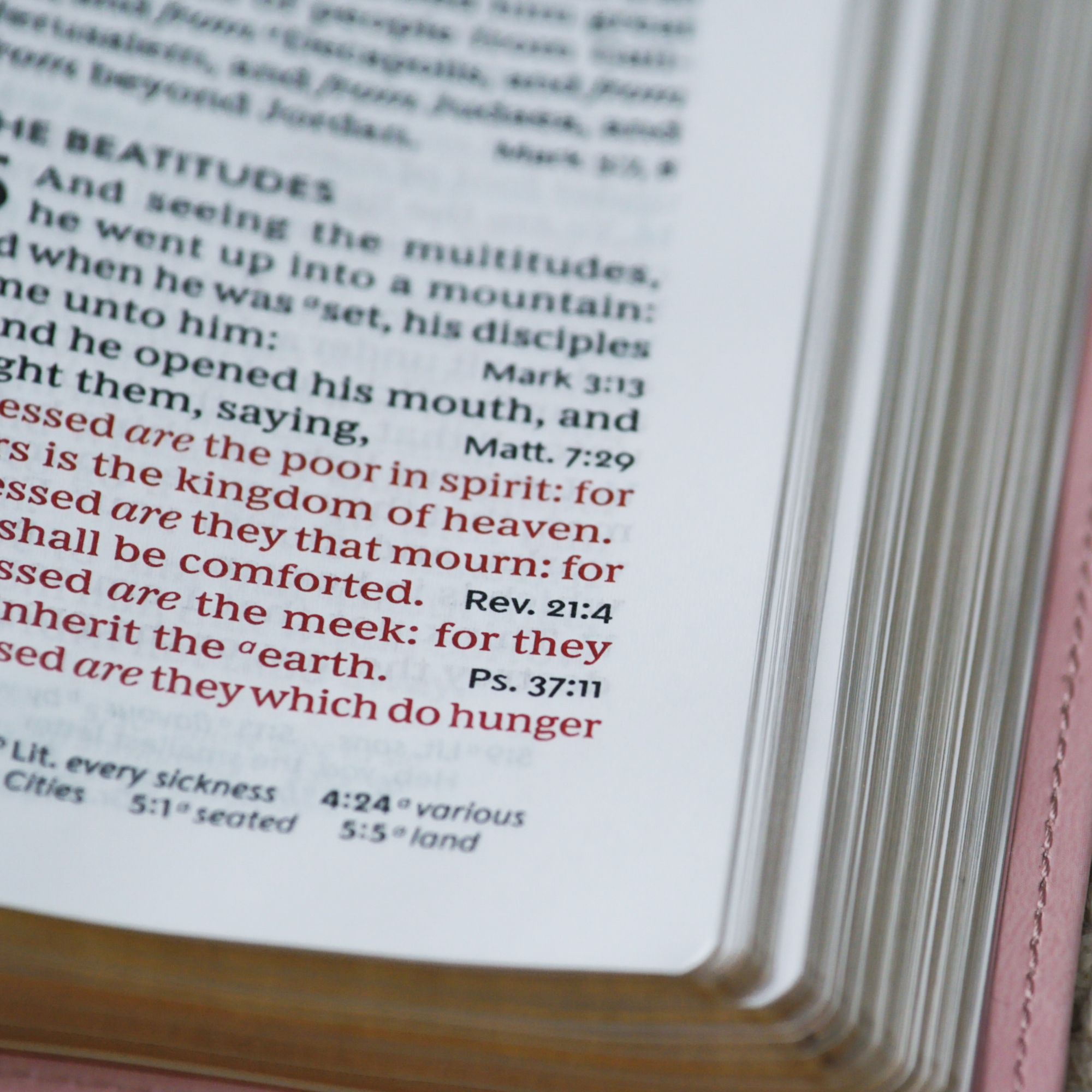 KJV Personal Size Large Print End-of-Verse Reference Bible, Brown Leathersoft, Red Letter, Comfort Print (Thumb Indexed)